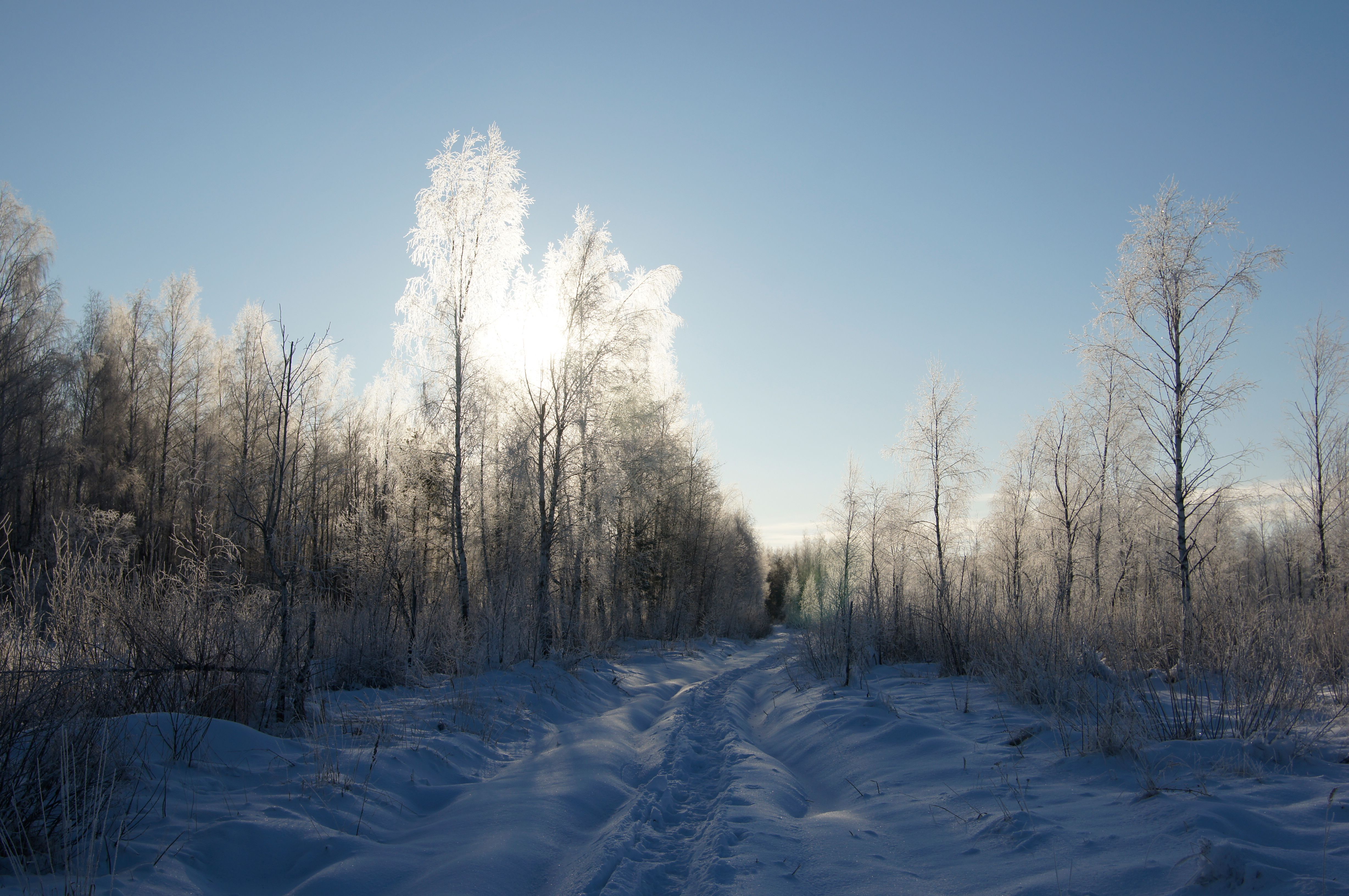4912x3264 Wallpaper winter, frost, road, forest, the sky, the sun, light, snow for mobile and desktop, section пейзажи, resolution 4912x3264
