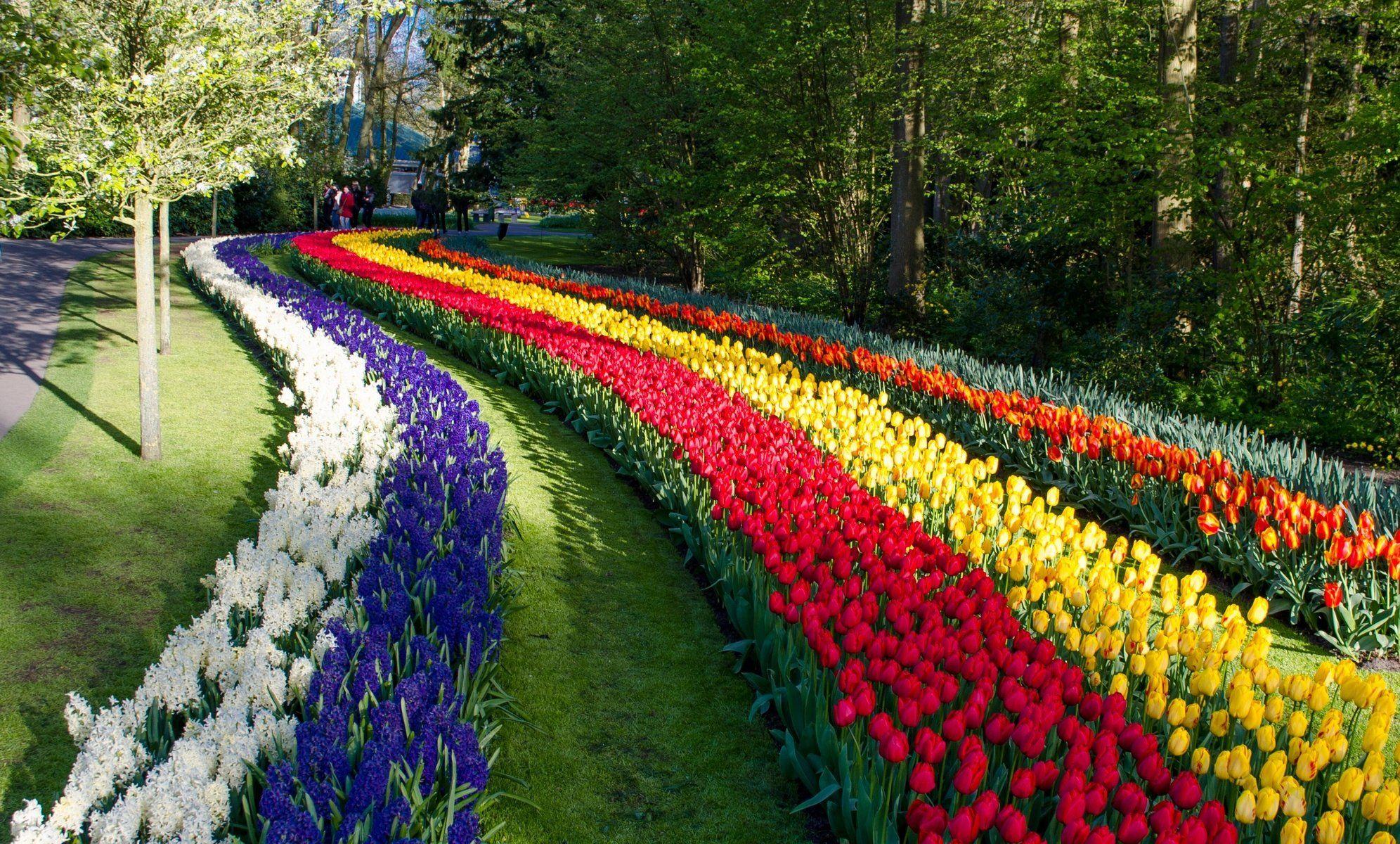 1992x1200 keukenhof, Lisse, Netherlands, Keukenhof, Lisse, Netherlands, Park