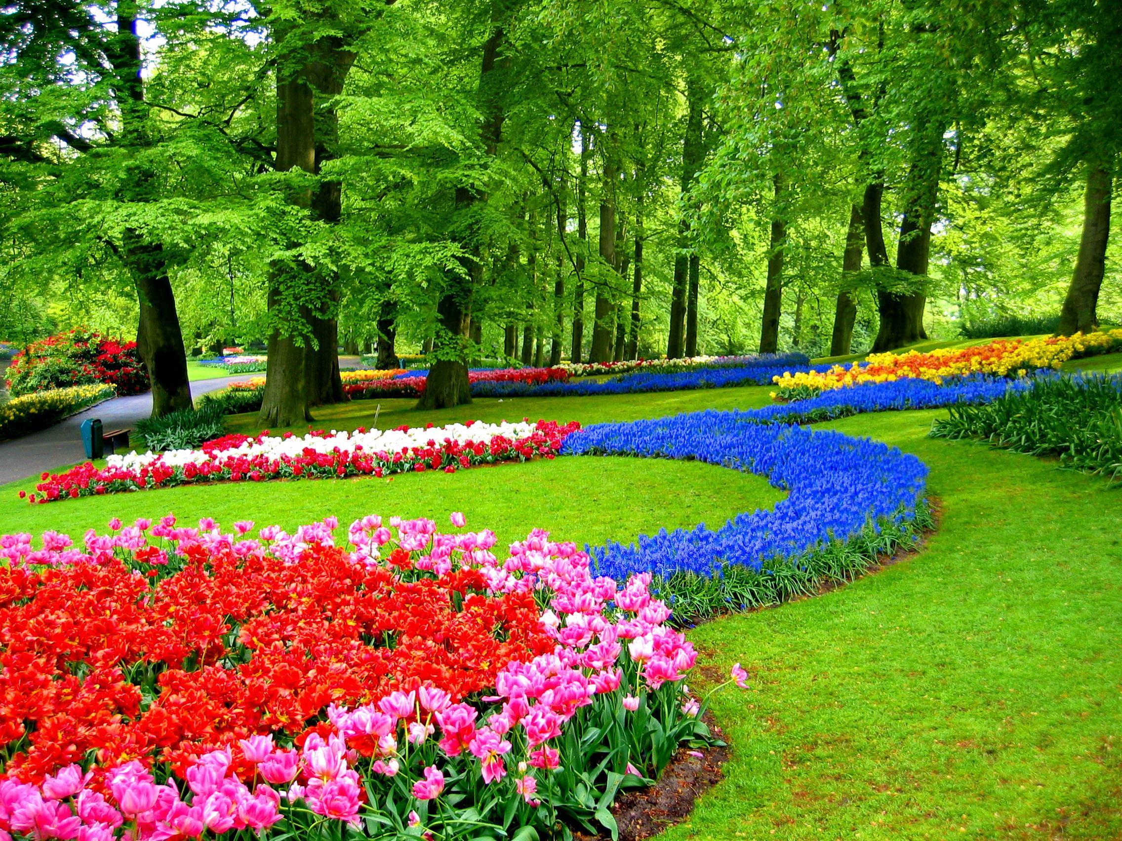 2272x1704 Keukenhof Gardens HD desktop wallpaper : Widescreen : High