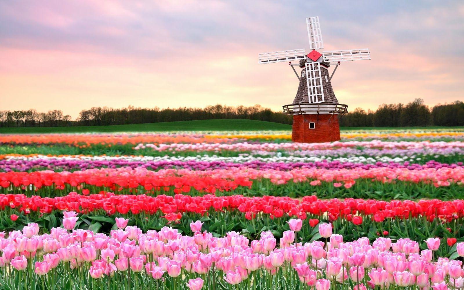1600x1000 Things to Do in Amsterdam Besides Go to a Coffee Shop