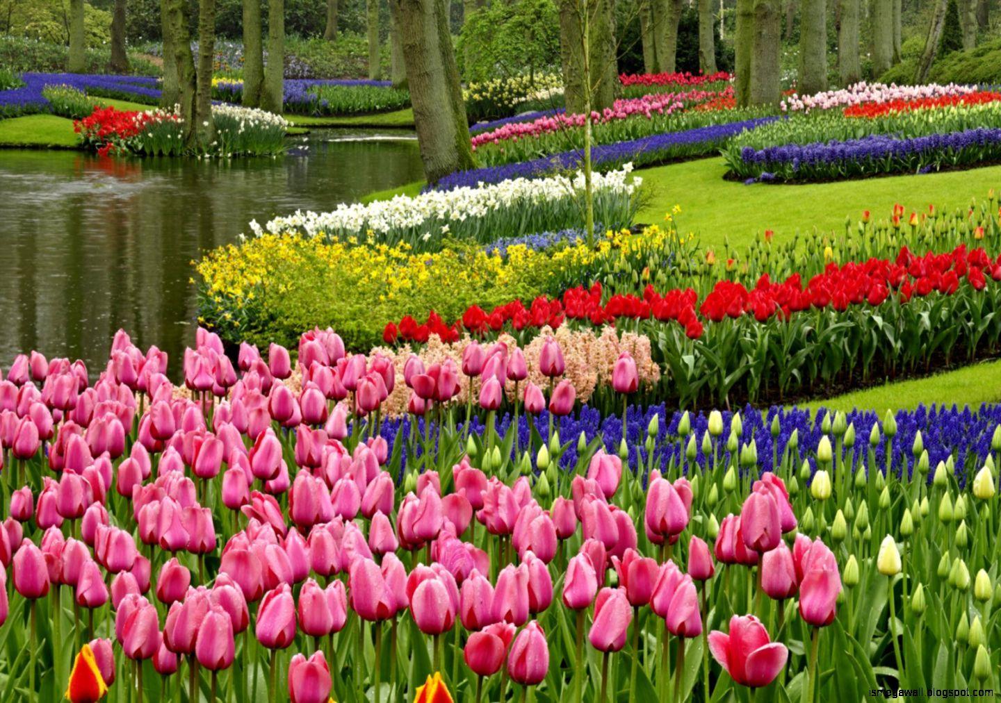 1440x1012 Keukenhof Wallpaper