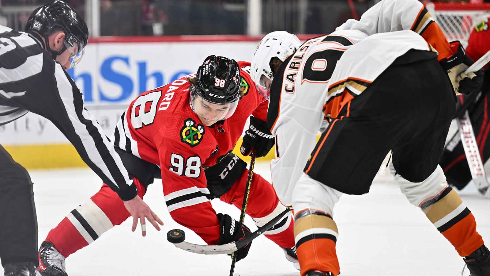 1600x900 Ducks news: Leo Carlsson discusses Connor Bedard, Macklin Celebrini rivalry