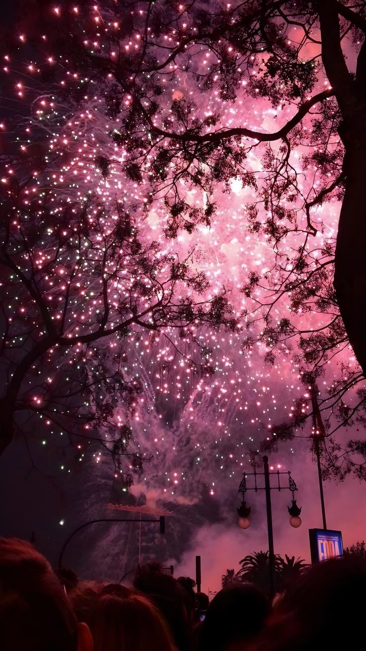 736x1308 fireworks