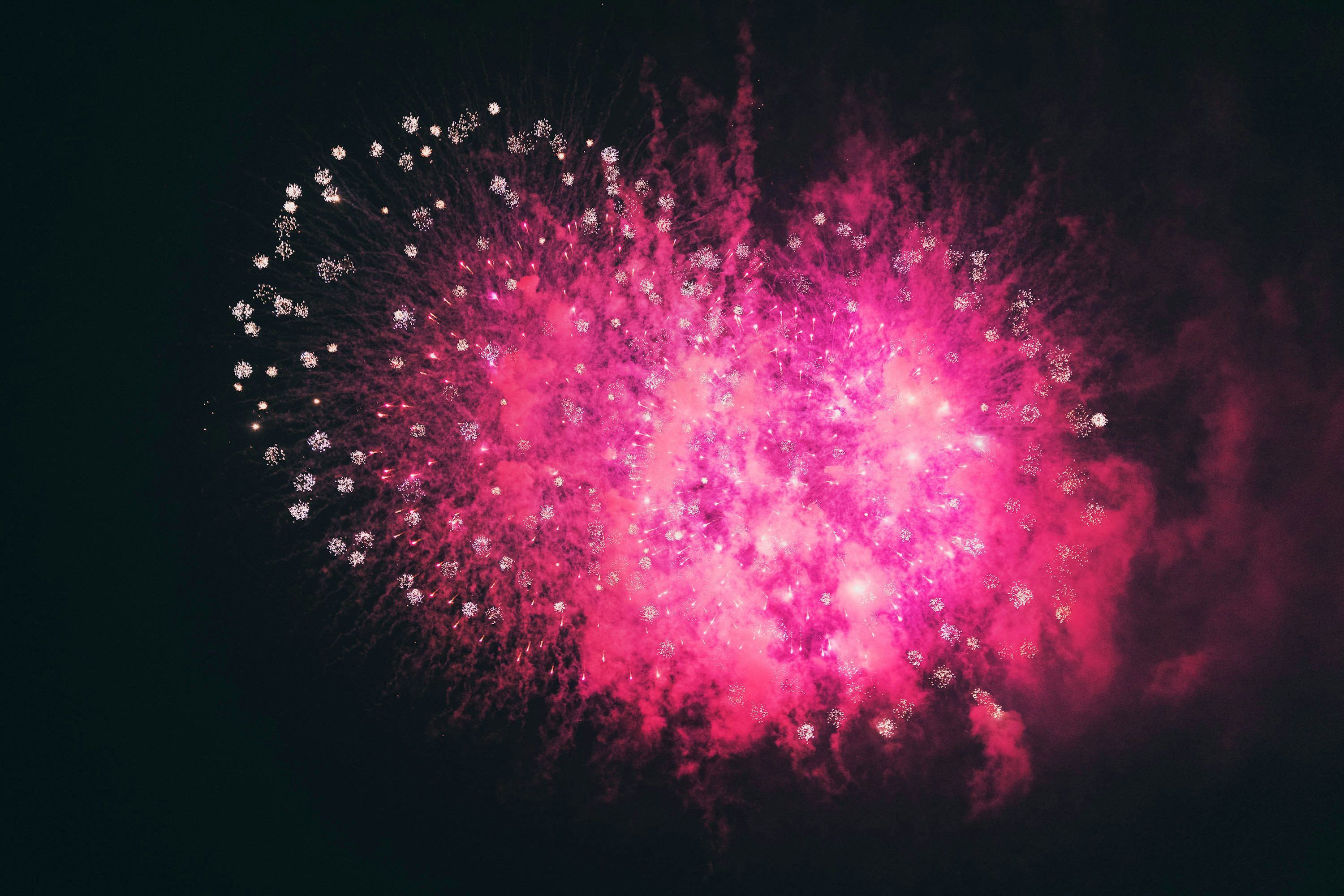 3000x2001 A pink firework exploding in the night sky photo