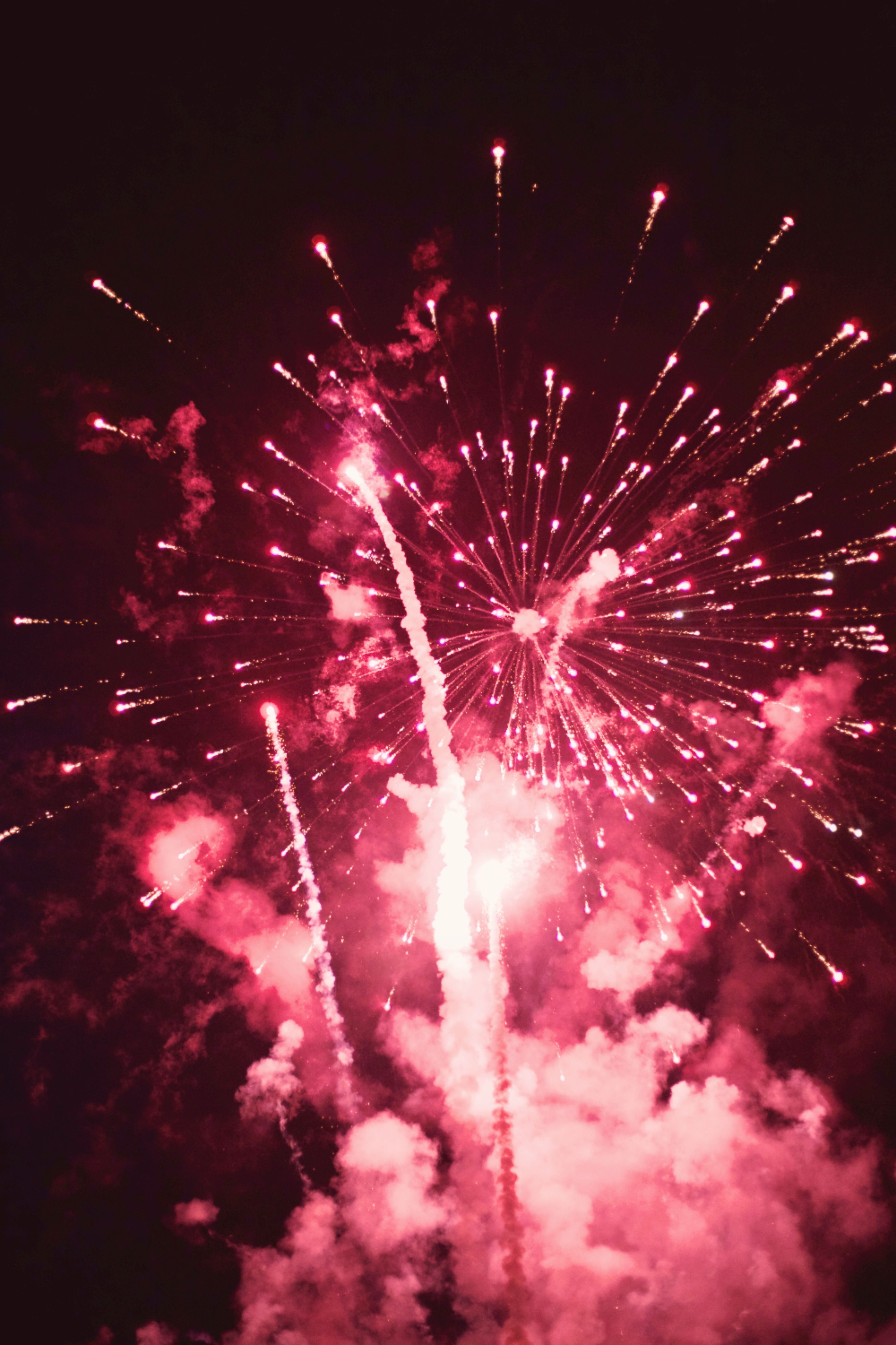 3648x5472 Fireworks at Night · Free
