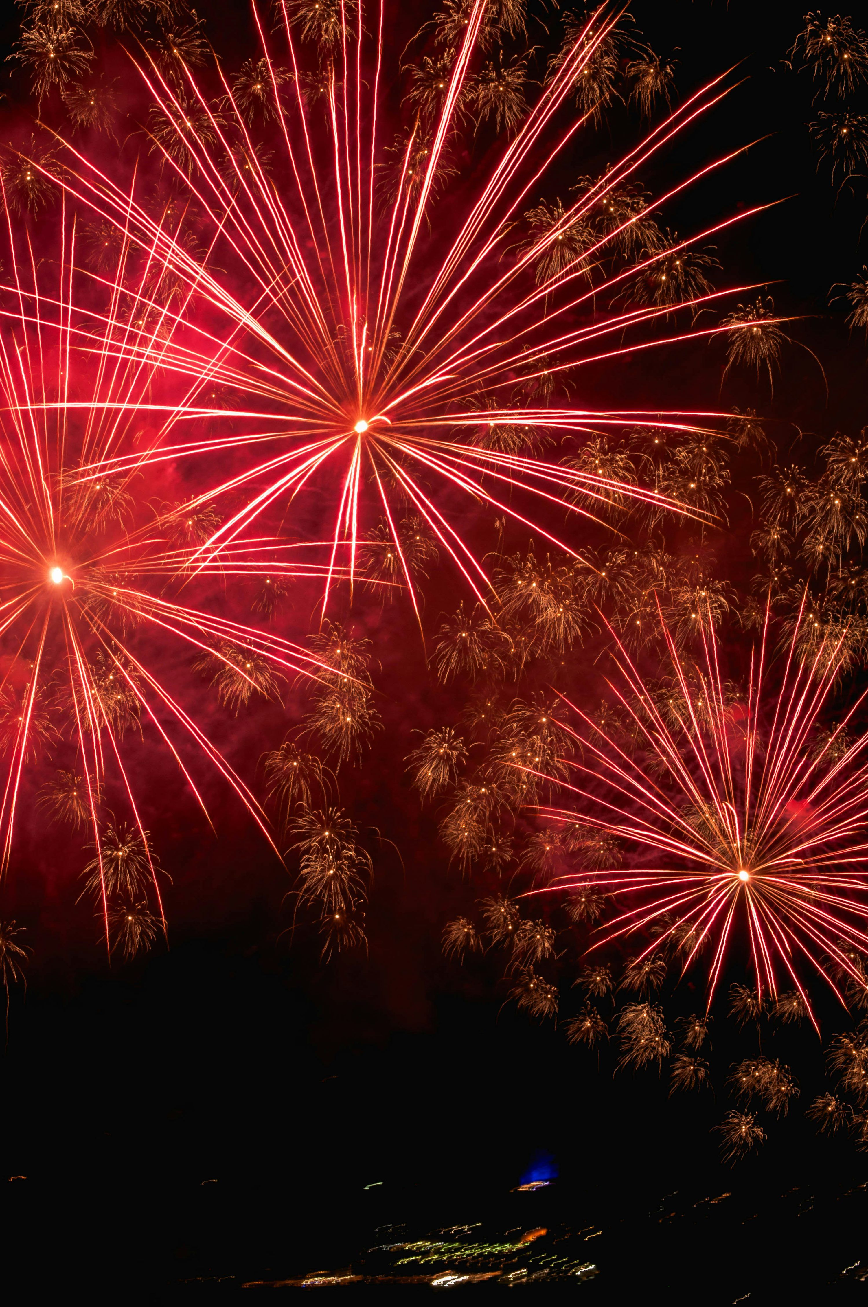 3000x4517 Pink fireworks photo