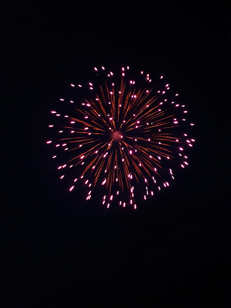 800x1067 Dandelion Firework, explosion, pink, purple, red, HD phone wallpaper