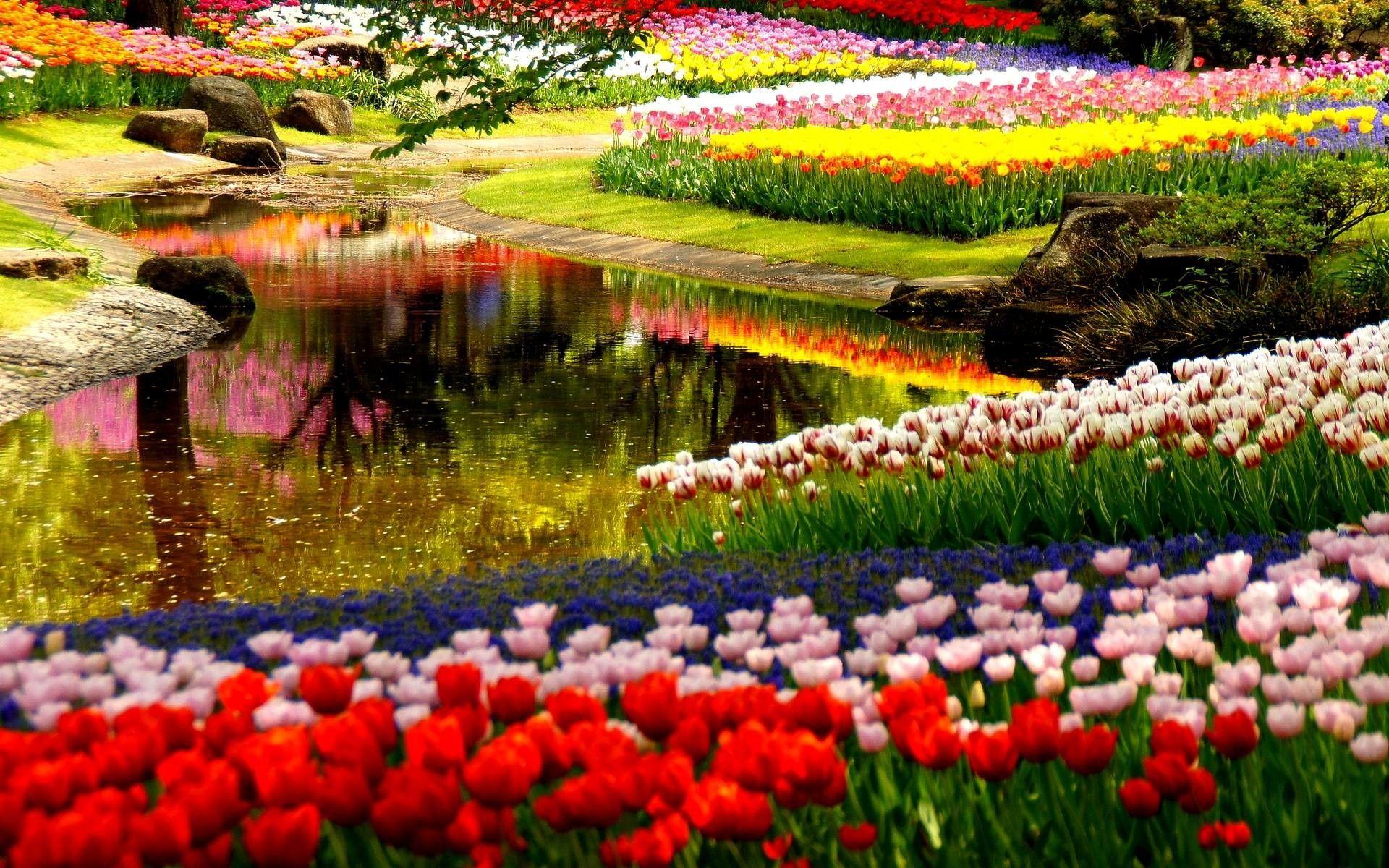 1920x1200 Spring Garden Wallpaper