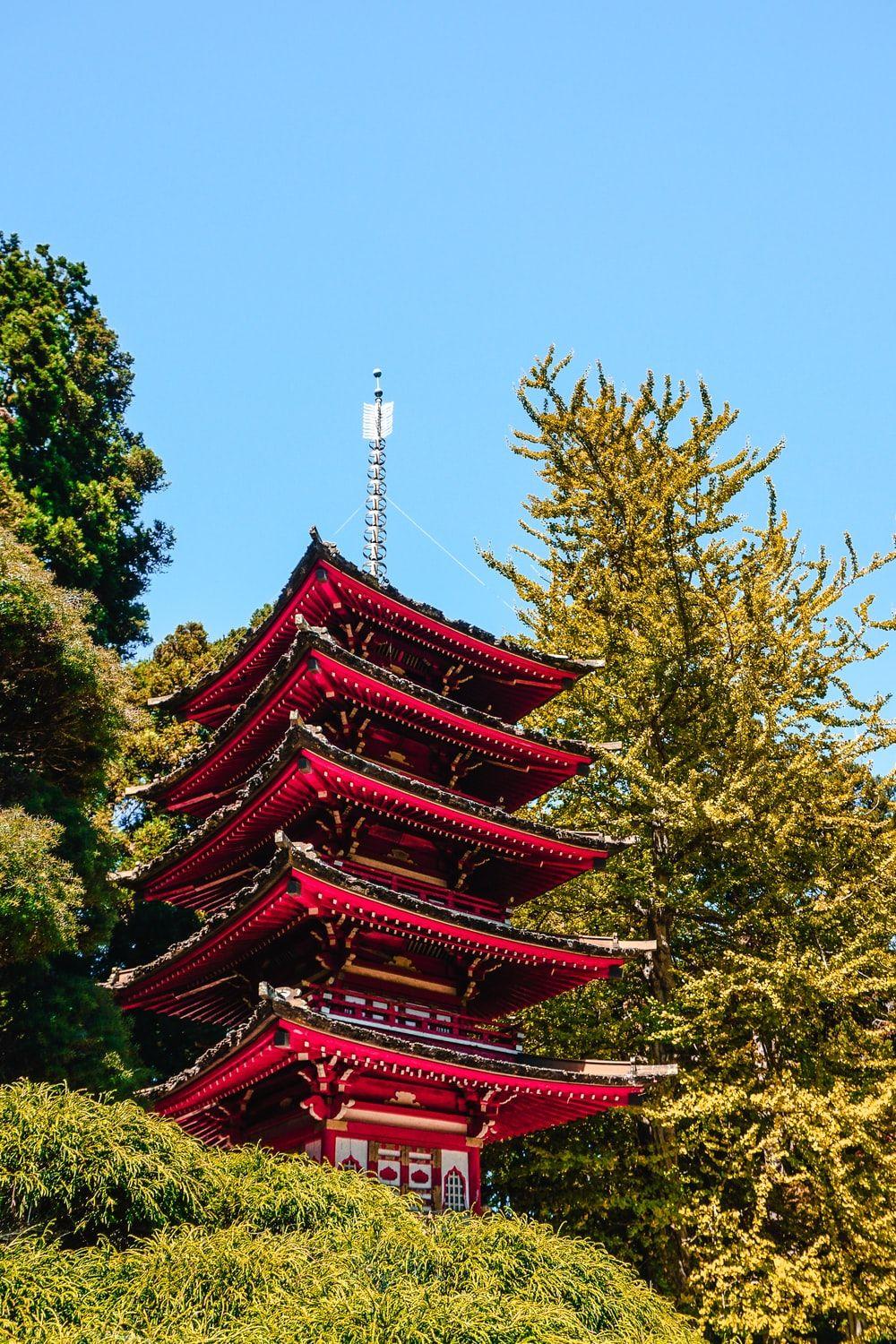1000x1500 Zen Garden Picture [HD]. Download Free Image