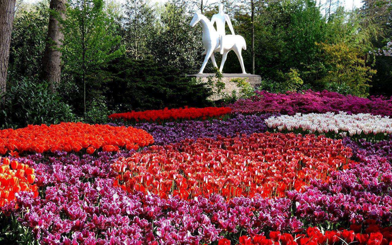 1280x801 Desktop Wallpaper Netherlands Keukenhof Nature Tulips park Many
