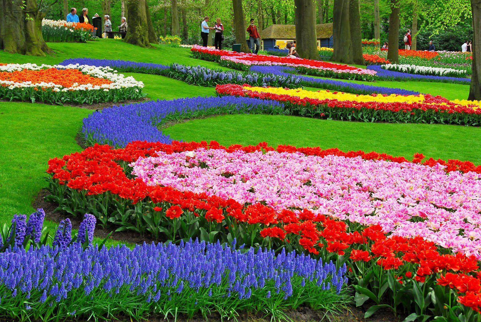 1600x1071 trololo blogg: Keukenhof Gardens Wallpaper