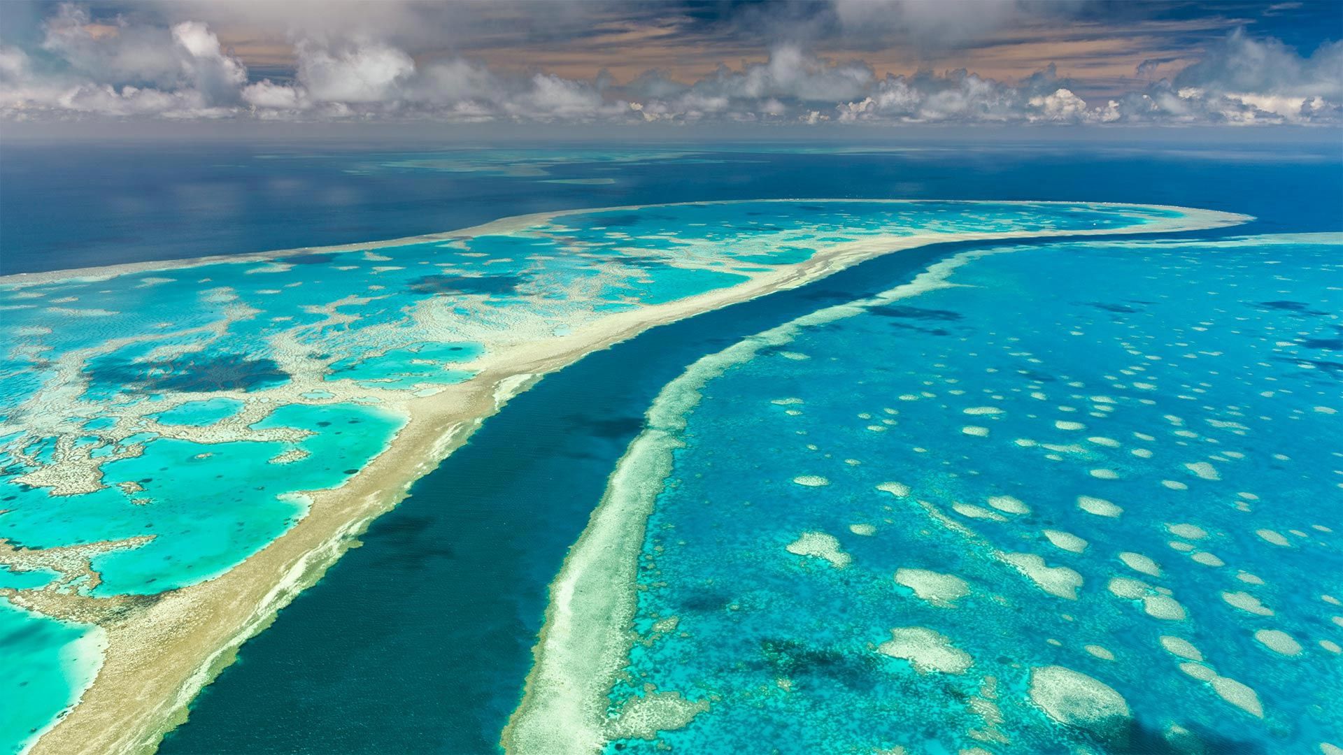 1920x1080 Wallpaper the ocean, Australia, The great barrier reef for mobile and desktop, section природа, resolution 1920x1080