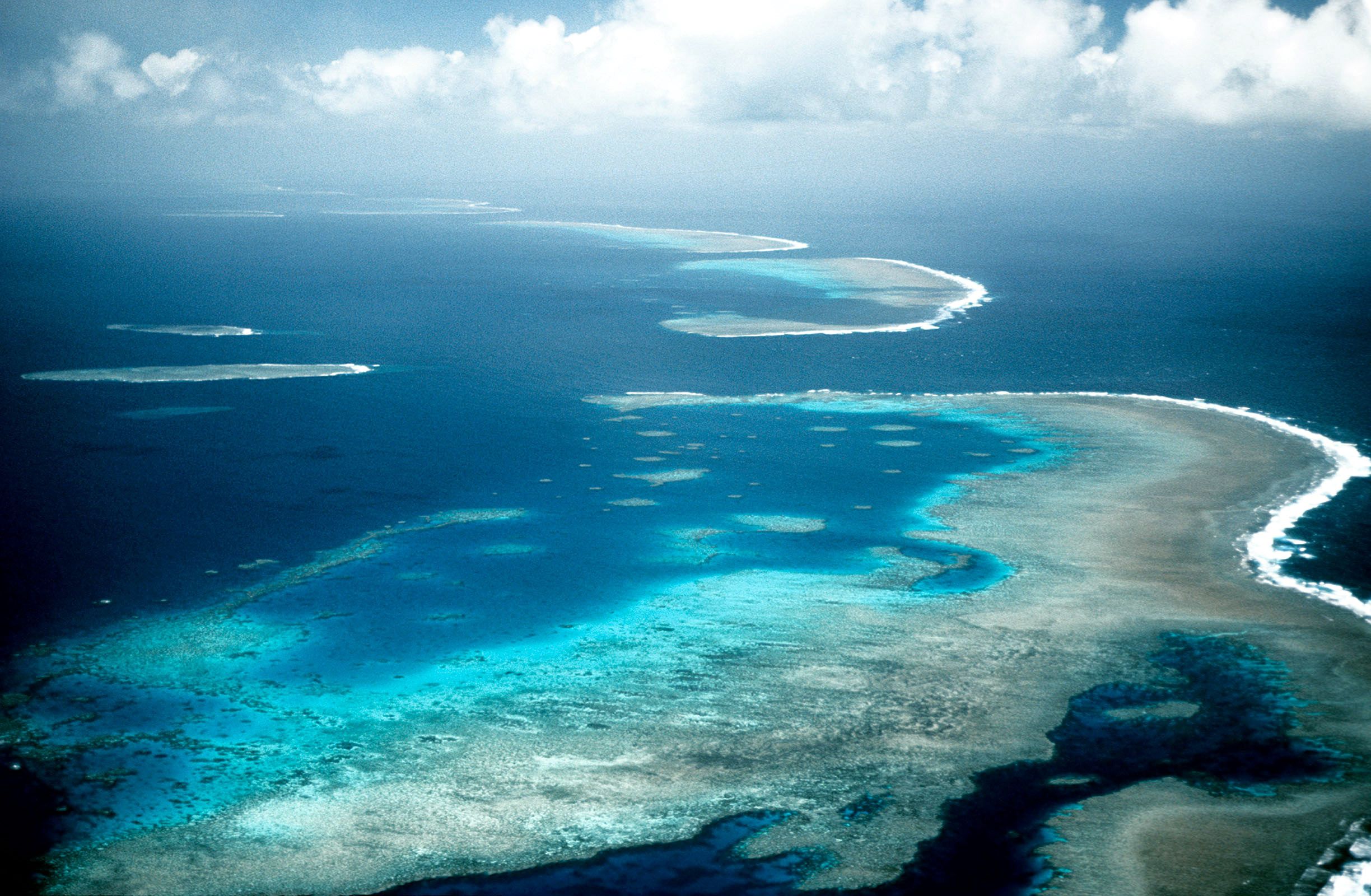 2448x1600 Great Barrier Reef: Stunning HD Nature Wallpaper of Vibrant Coral Reefsx1600