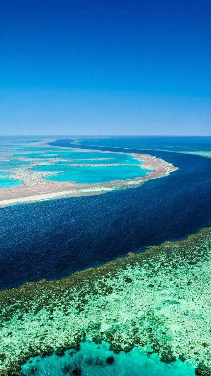 720x1280 Aerial View of the Great Barrier Reef and Lagoons in the Red Sea, Egypt. The great barrier reef wallpaper, Great barrier reef wallpaper 4k, Great barrier reef australia