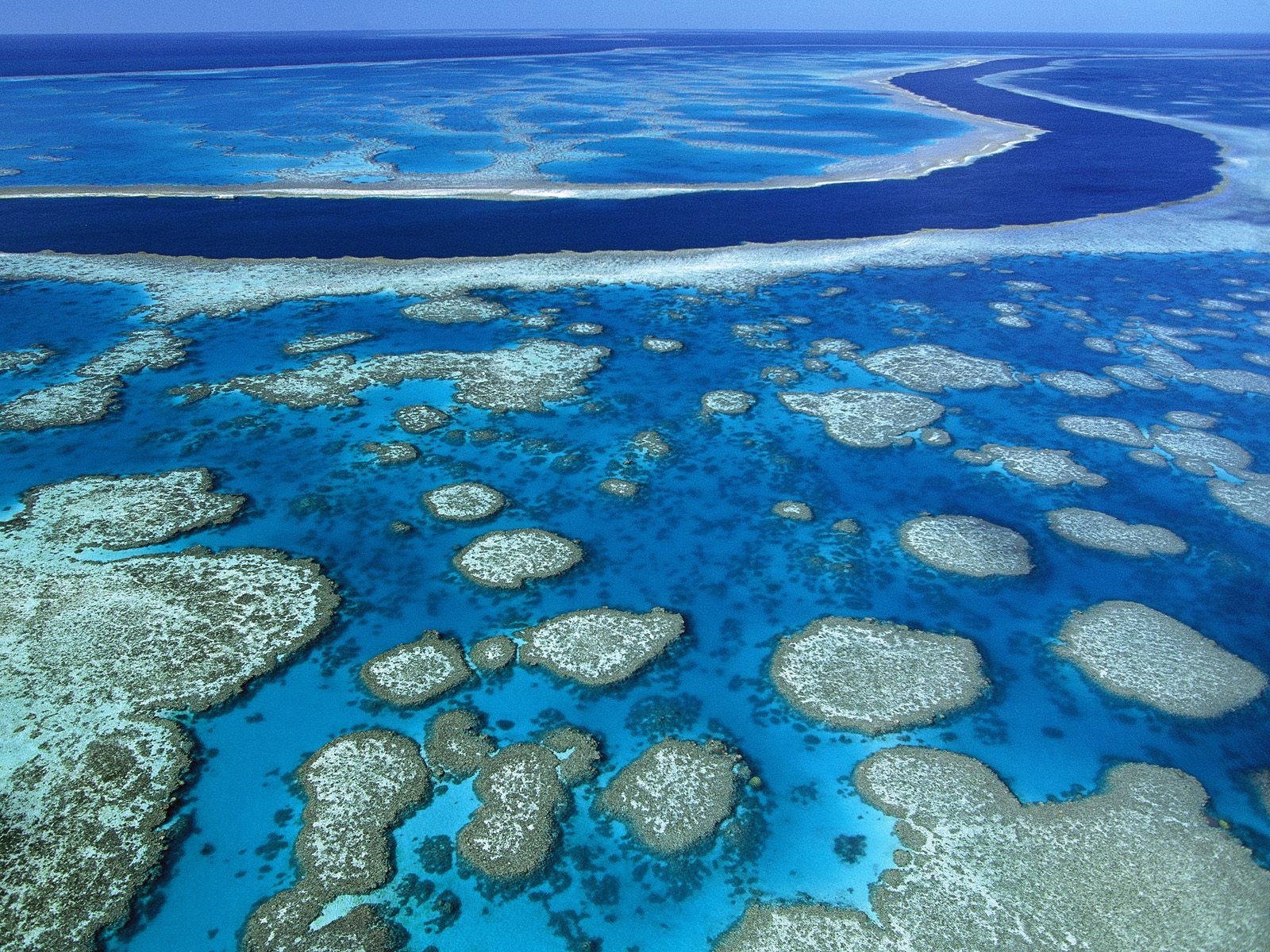 1600x1200 Great Barrier Reef, Australia—It's the largest living thing on Earth