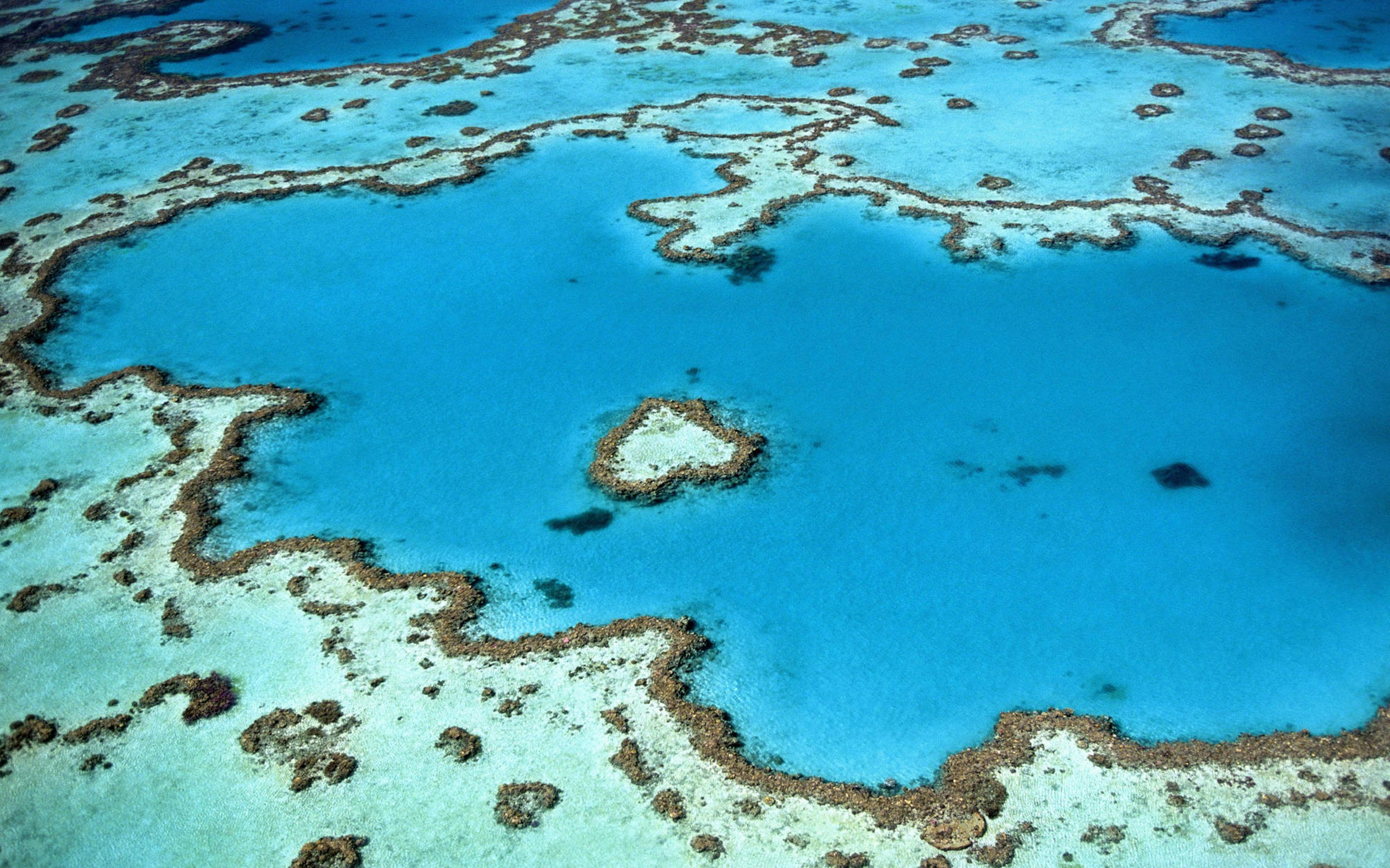3000x1875 Great Barrier Reef 4k Wallpaper
