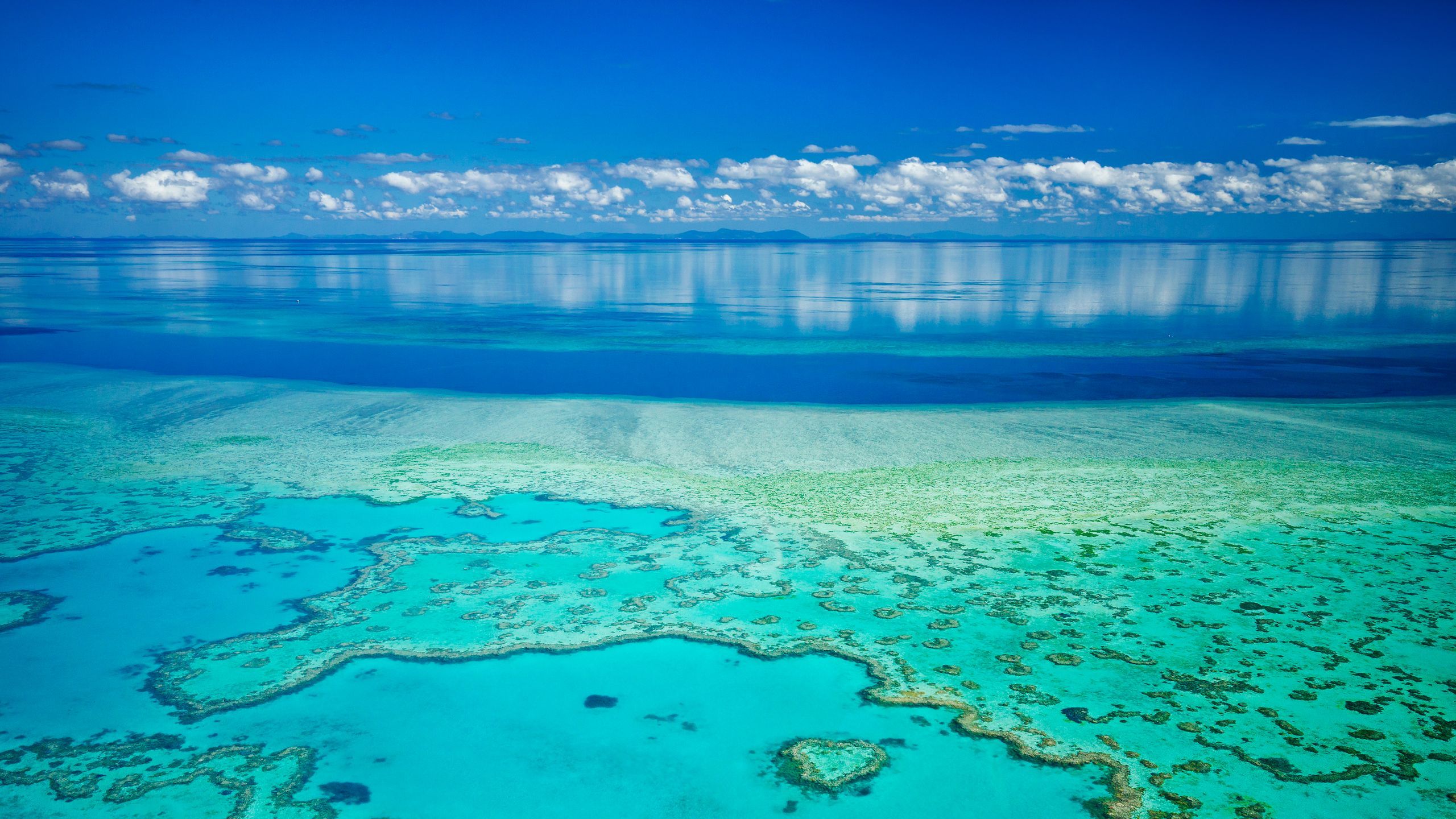 2560x1440 Australia's First Underwater Hotel, in the Great Barrier Reef, Lets You Sleep Next to Fish. Condé Nast Traveler