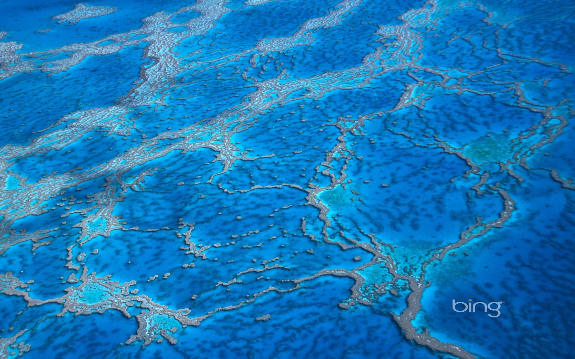 1920x1200 Aerial view of the Great Barrier Reef, Queensland, Australia Wallpaper