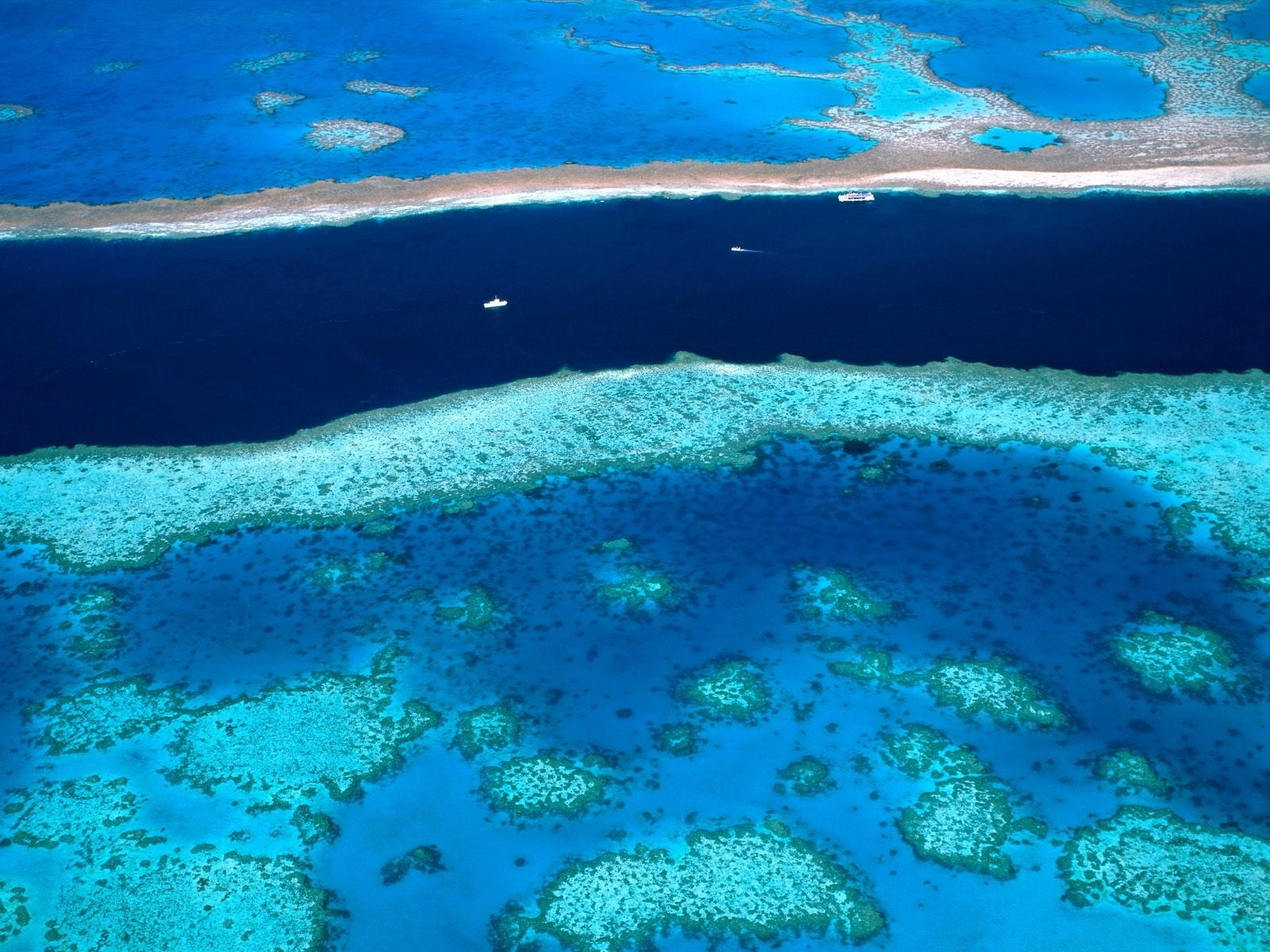 1600x1200 Photography of blue ocean during daytime, great barrier reef HD wallpaper