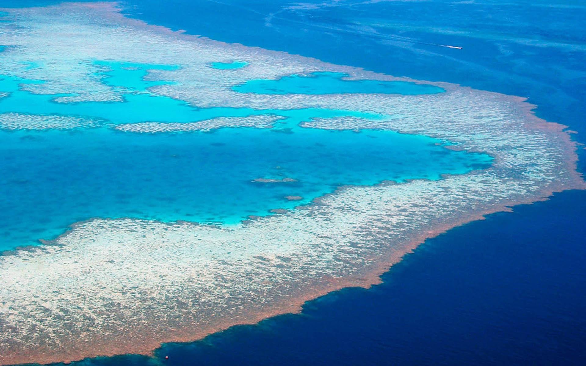 1920x1200 Great Barrier Reef Wallpaper