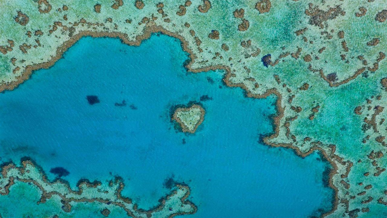 1280x720 Bing Wallpaper Archive