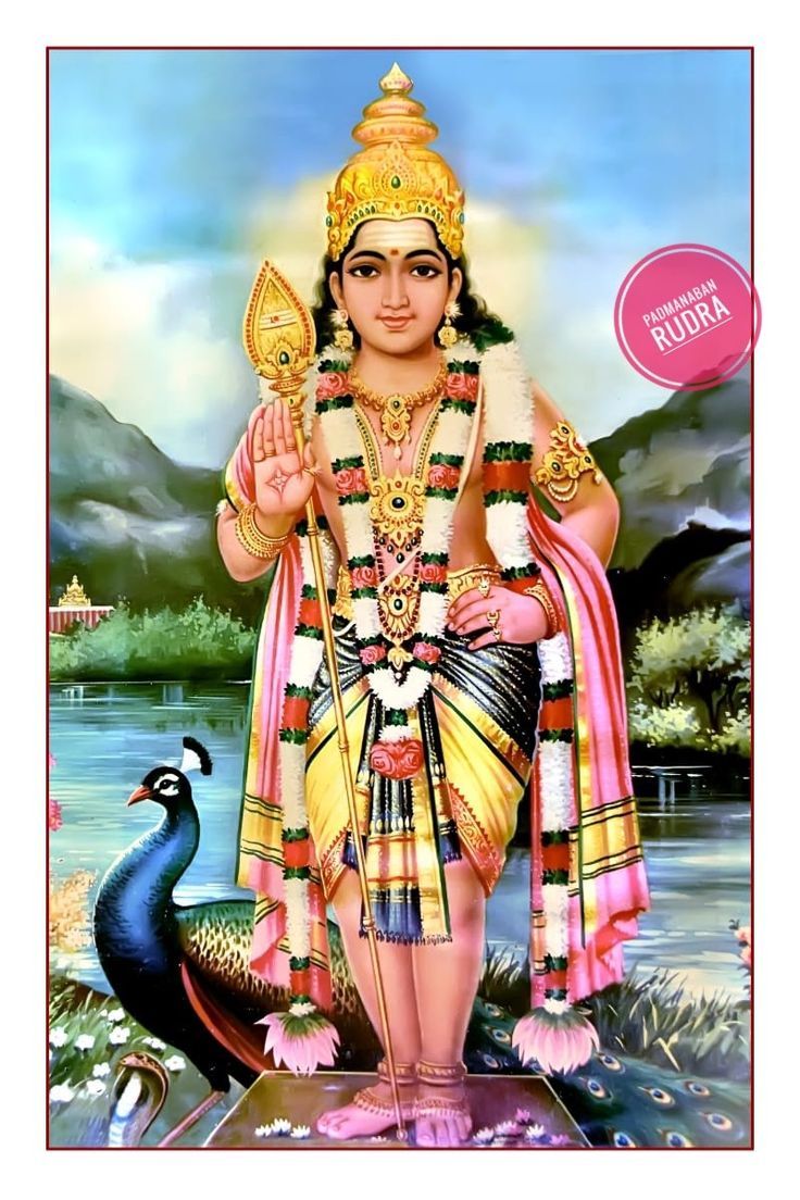 736x1104 Hd murugan photo. Sree murugan HD image, Arupadai murugan image, Indian god