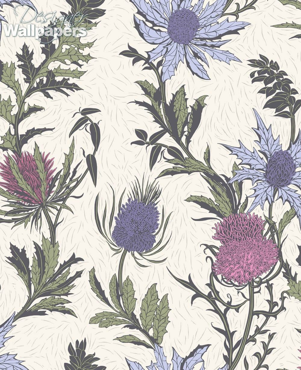 1000x1230 Buy Cole and Son Thistle Next Day Delivery. Designer Wallpaper ™