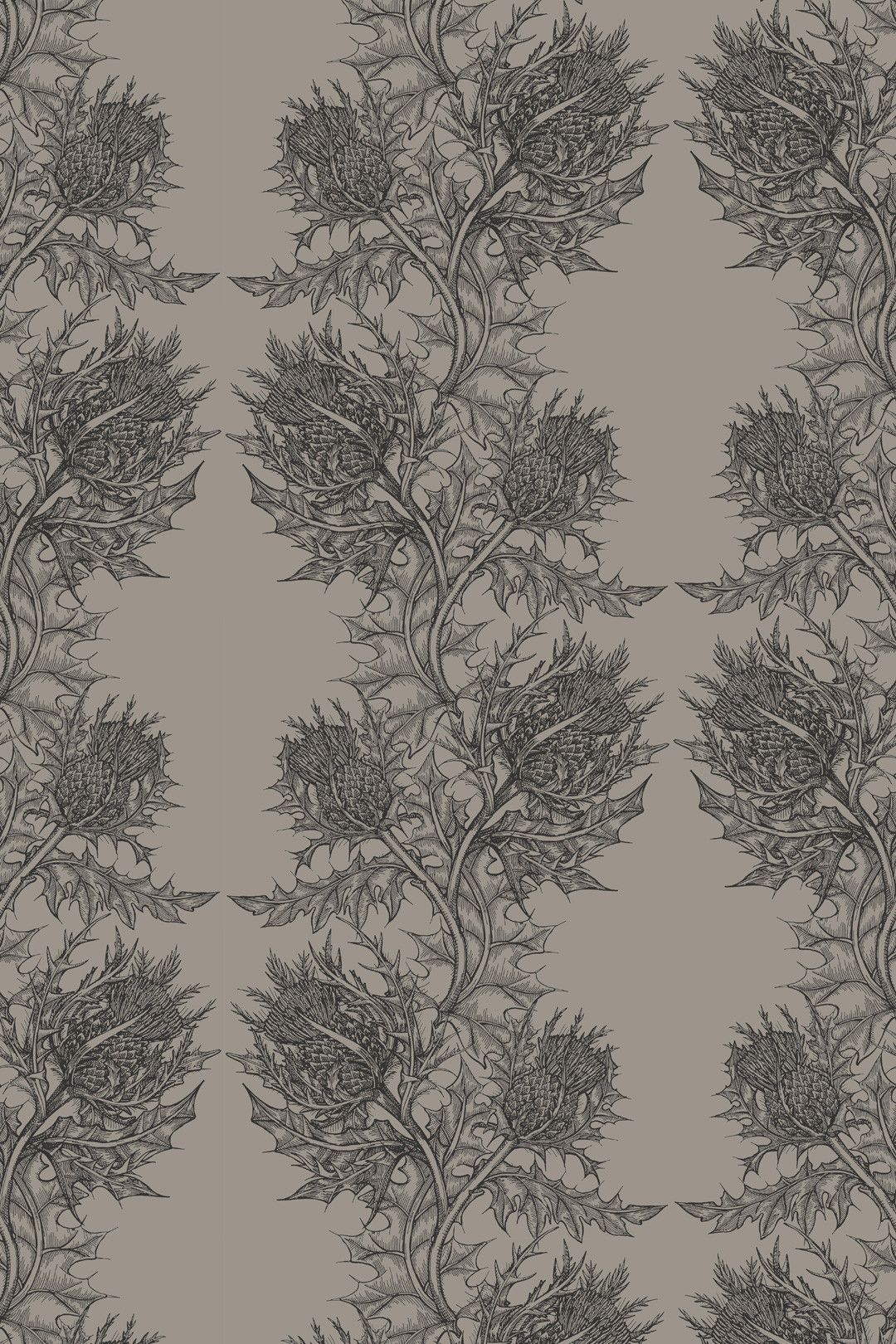 1080x1620 Thistle Wallpaper. Luxury Scottish Wallpaper