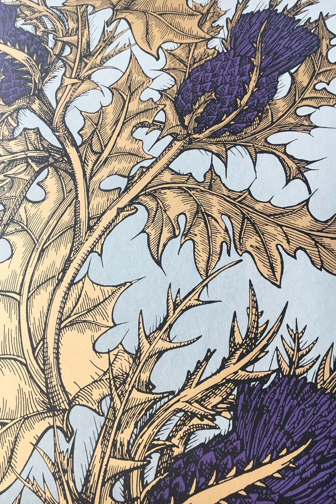 1080x1618 Grand Thistle Wallpaper. Ornate Botanical Wallpaper