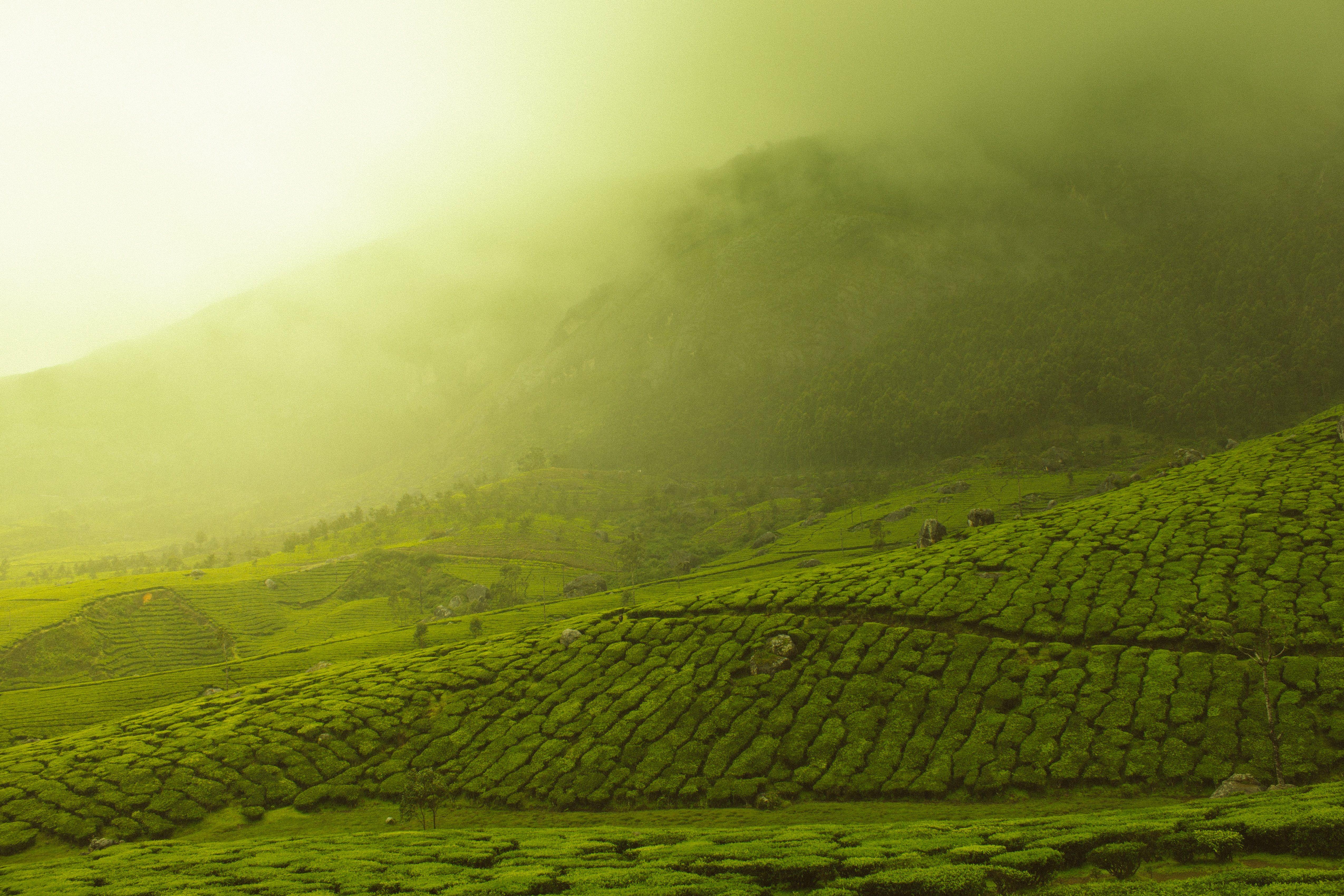 5098x3399 green land wallpaper and background