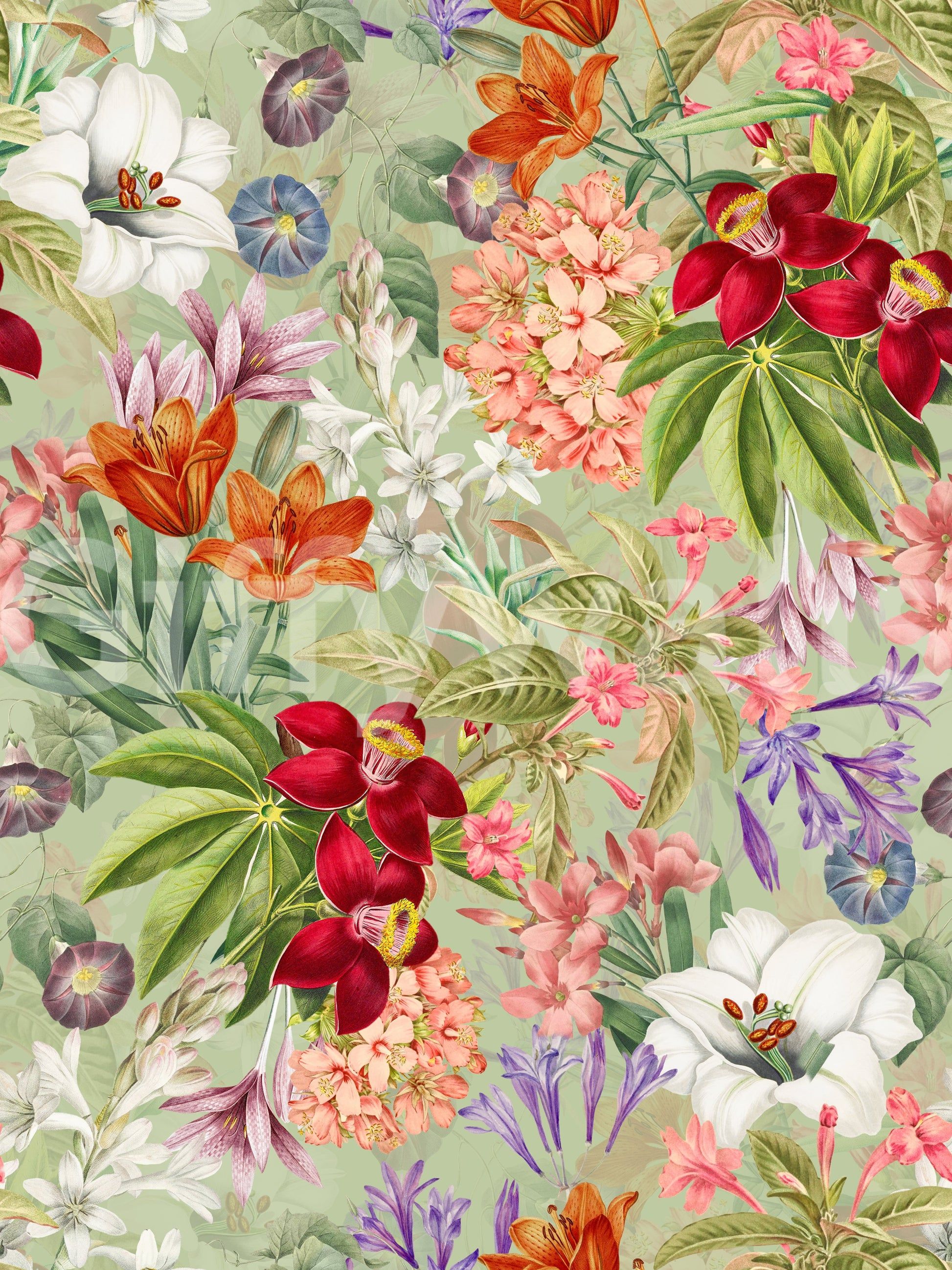 1946x2595 Vintage Botanical Garden Wallpaper