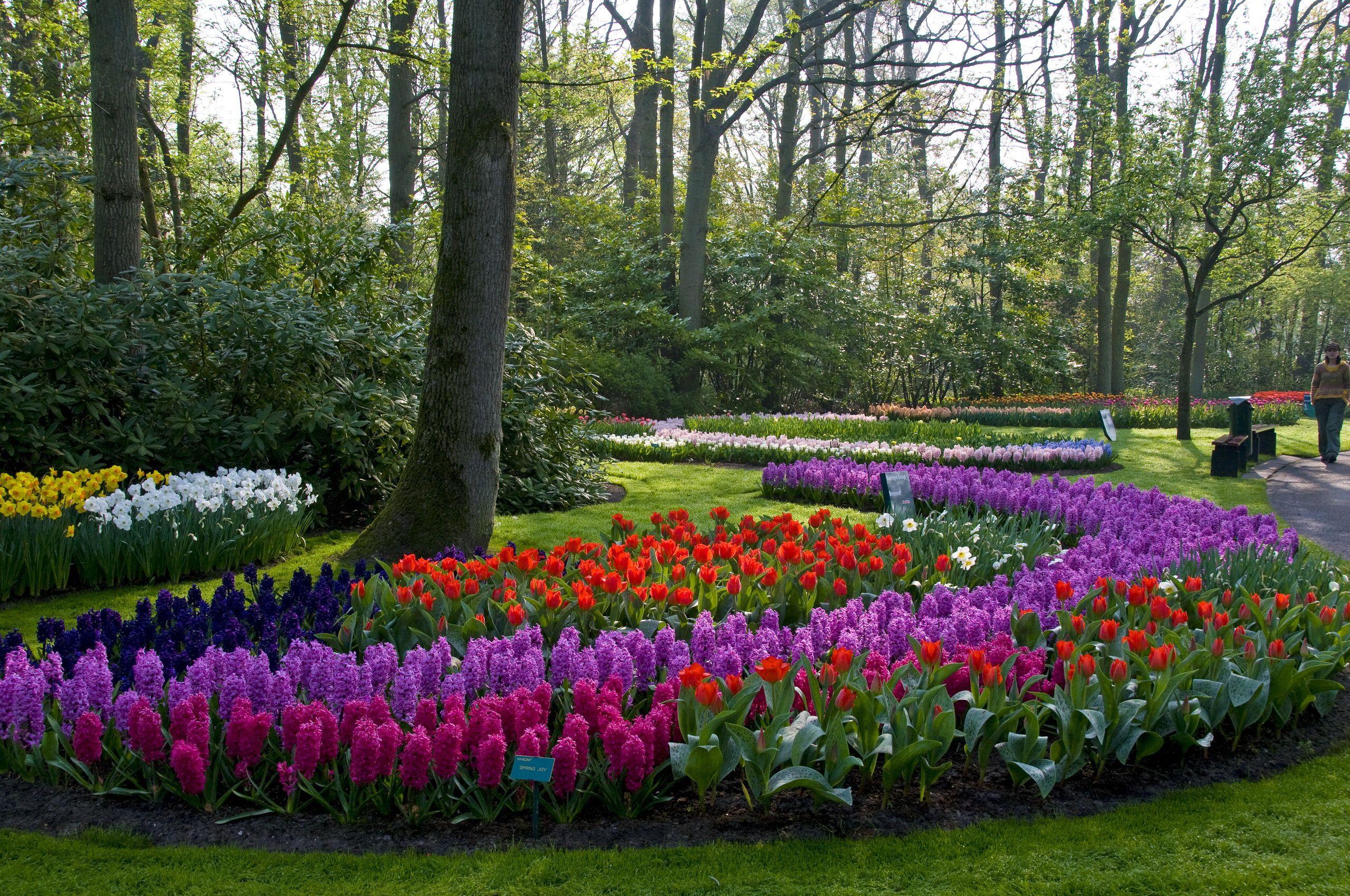 2560x1700 Keukenhof Lisse Netherlands HD Wallpaper. Background Image