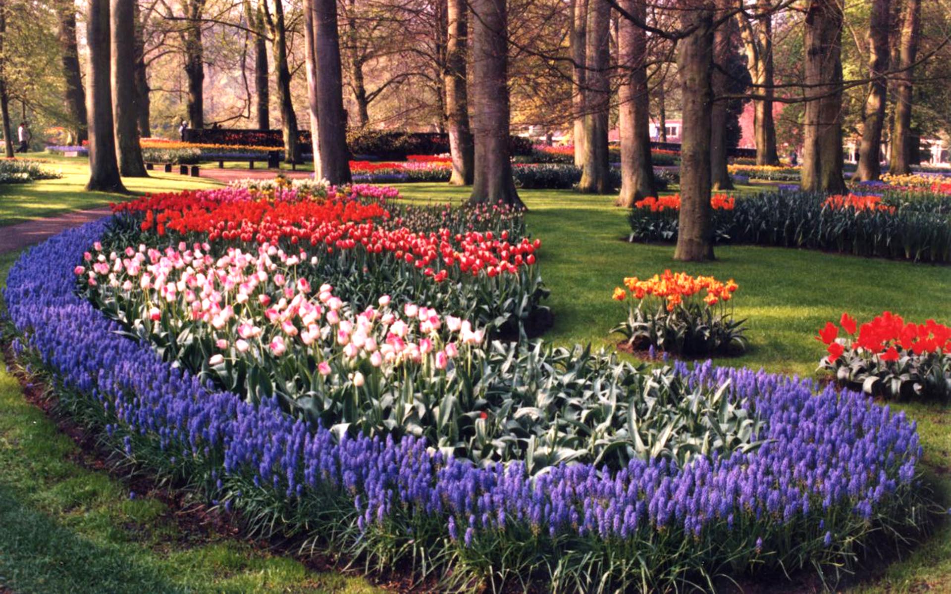 1920x1200 Keukenhof Gardens Free Wallpaper