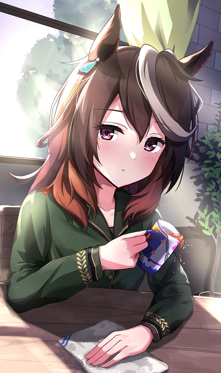 728x1227 HD wallpaper: Symboli Rudolf (Uma Musume), anime, anime girls, long hair