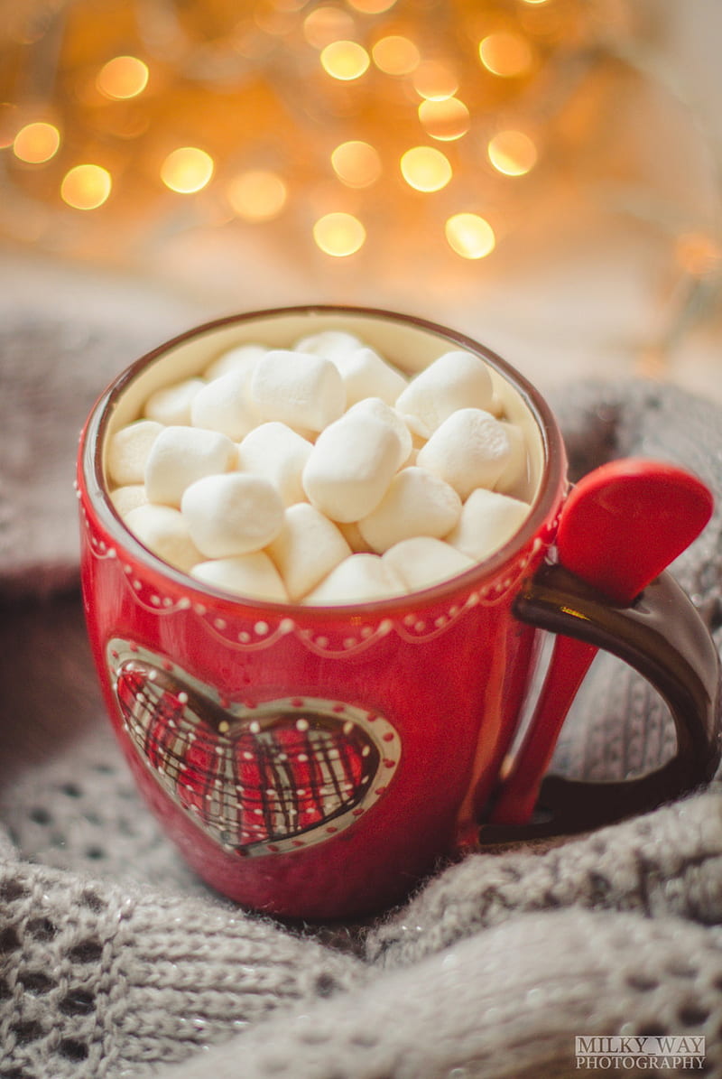 800x1195 Winter cocoa, cozy, marshmallow, HD phone wallpaper