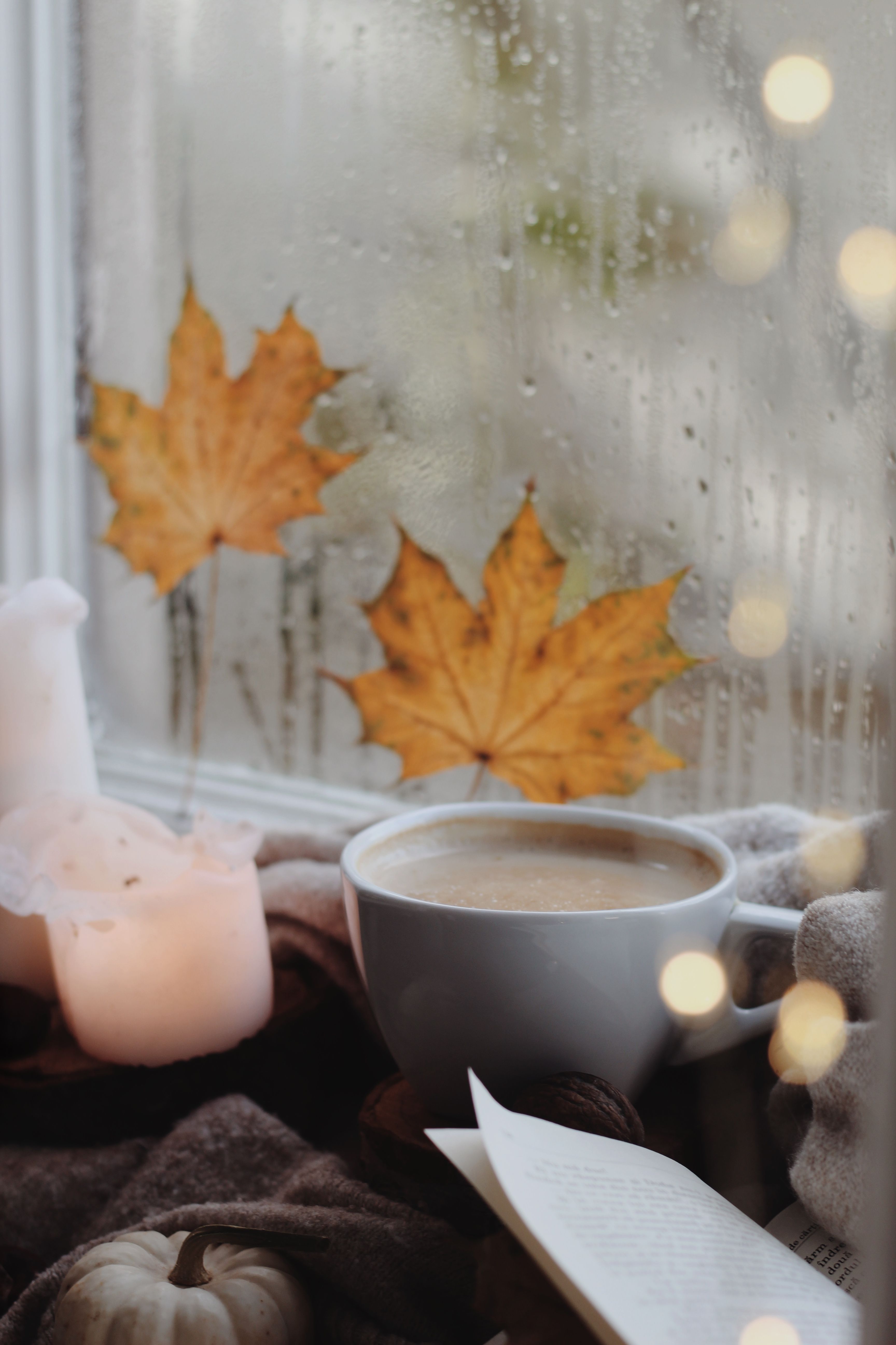 3456x5184 Cozy Autumn Photo, Download The BEST Free Cozy Autumn & HD Image