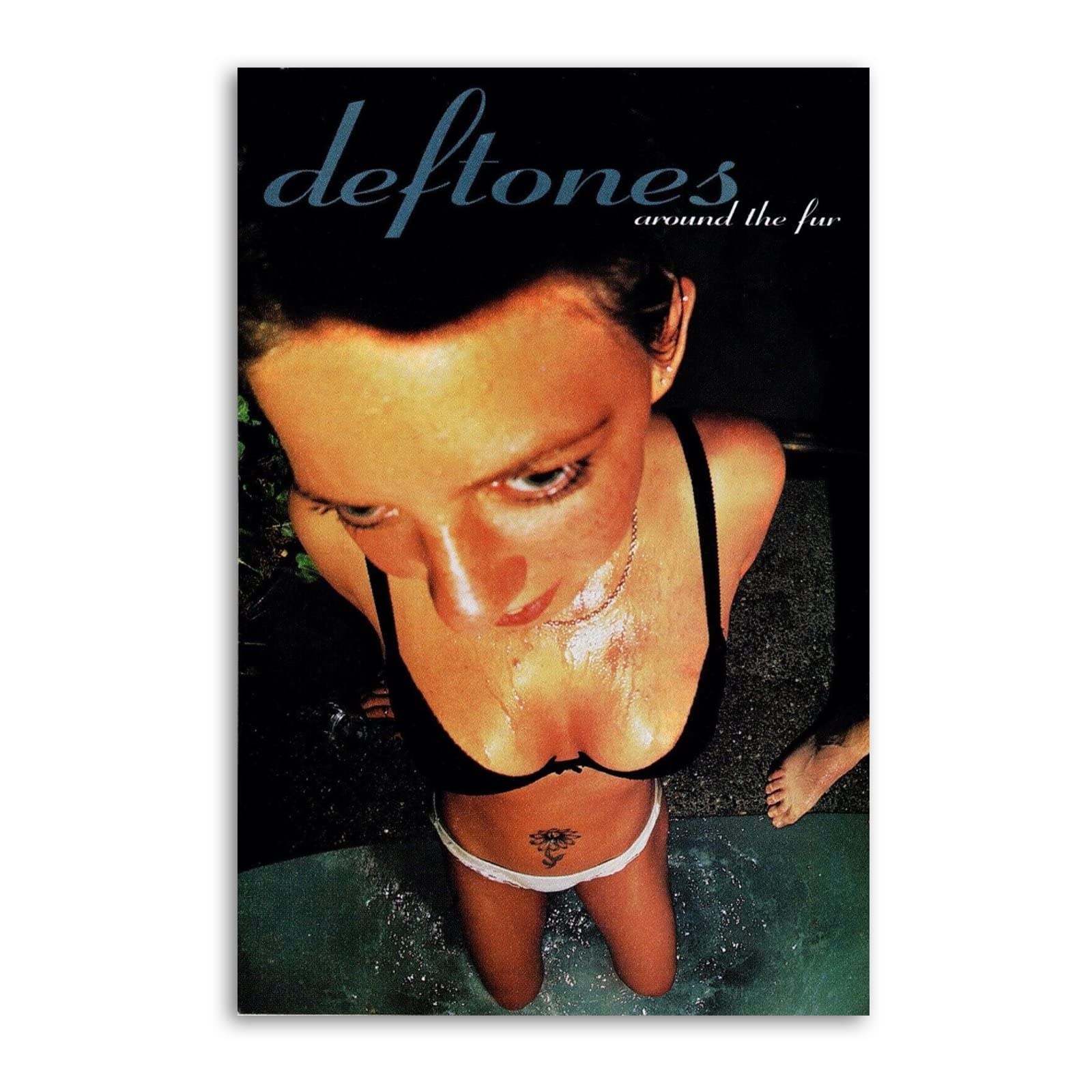 1600x1600 Deftone Around The Fur Music Album Canvas Art Poster And Wall Art Picture Print Modern Family Bedroom Decor Posters 12x18inch(30x45cm): Posters & Prints