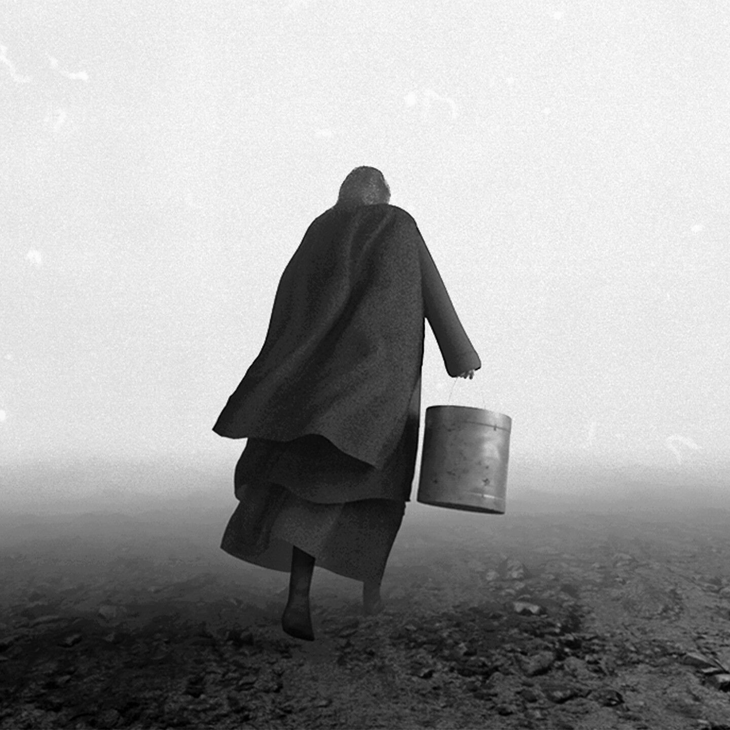 1440x1440 The Turin Horse