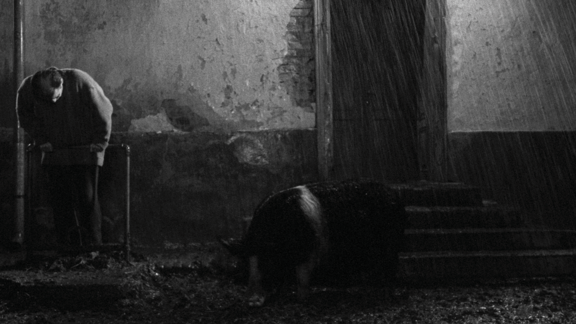 1920x1080 Senza Fine. The Cinema of Béla Tarr