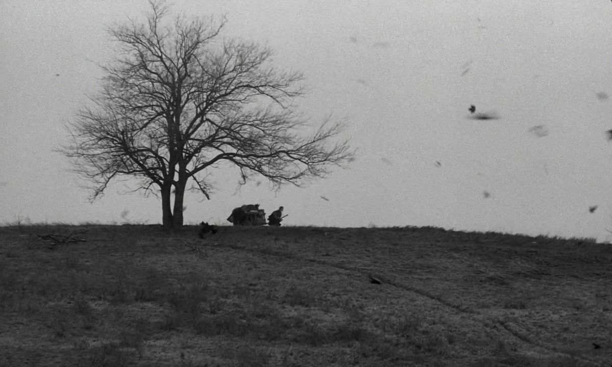 1200x720 The Turin Horse
