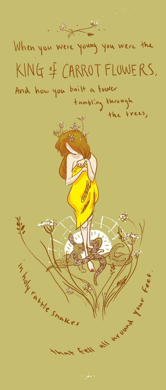 583x1369 Best Jeff Mangum ideas. neutral milk hotel band, jeff mangum, neutral milk hotel