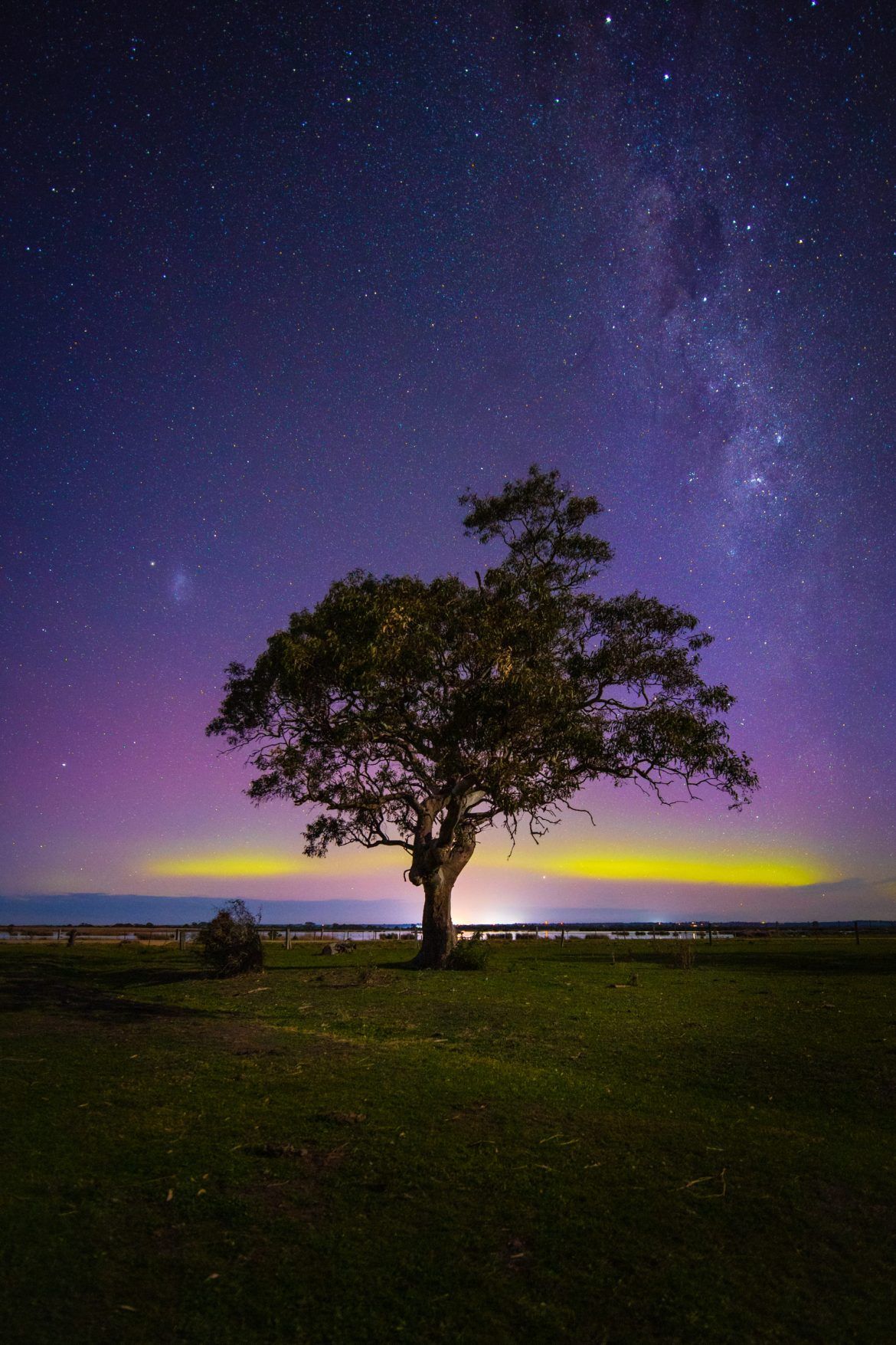 1170x1755 CANON EOS R for Nightscape Photography