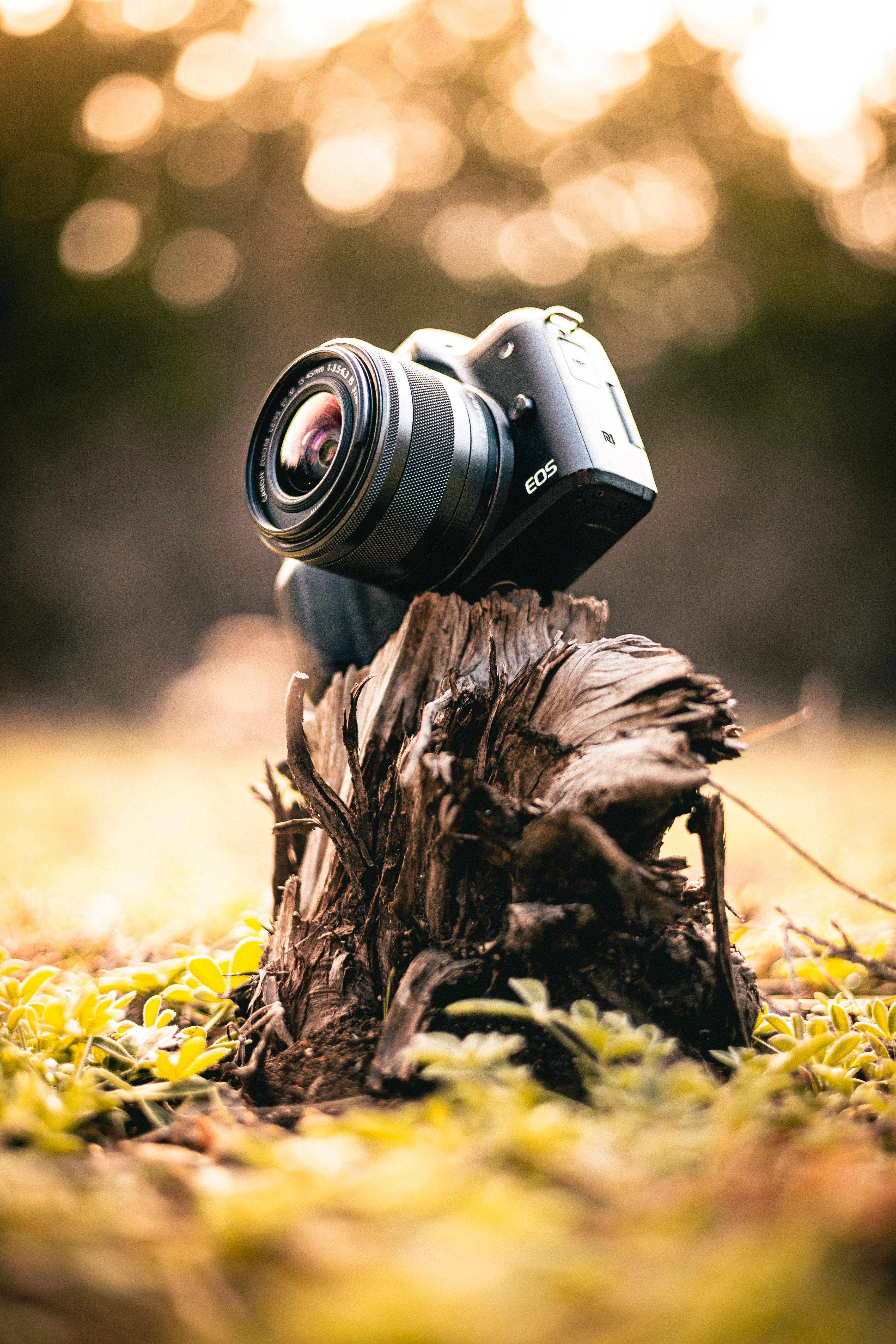 3731x5597 Photography Wallpaper Canon Canon EOS R Review: Canon's First Full Frame Mirrorless