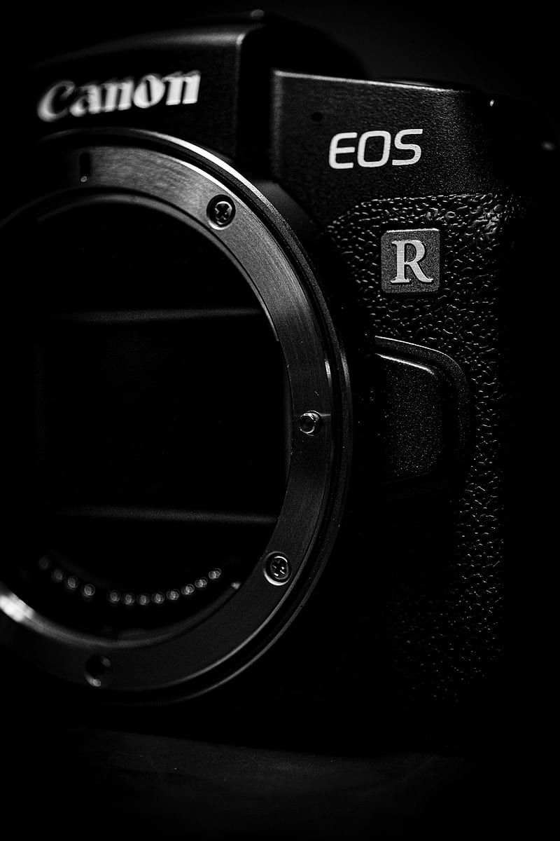 800x1200 Cameras, black, lenses, plants, HD wallpaper
