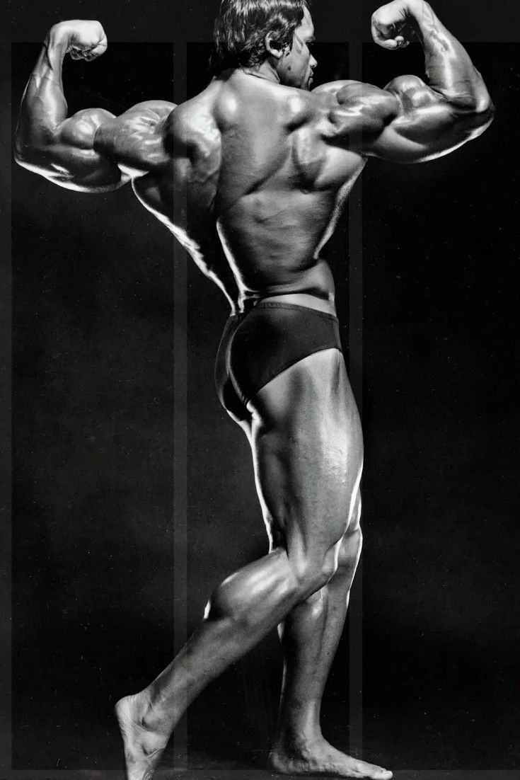 735x1102 Best pose of arnold. #bodybuilding #athletes #pose #olympia #arnold