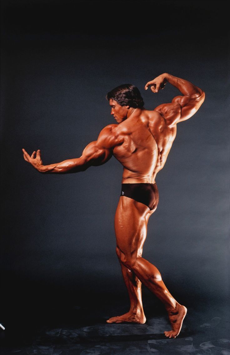 736x1135 Arnold Schwarzenegger