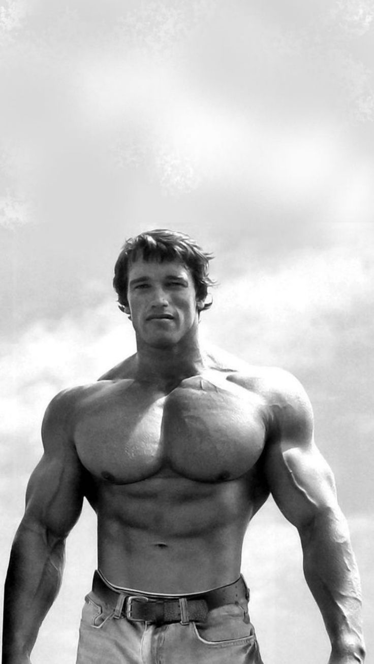 736x1308 Best Gifts for Powerlifters They'll Actually Use In 2024. Gym arnold schwarzenegger, Arnold schwarzenegger physique, Arnold schwarzenegger bodybuilding wallpaper