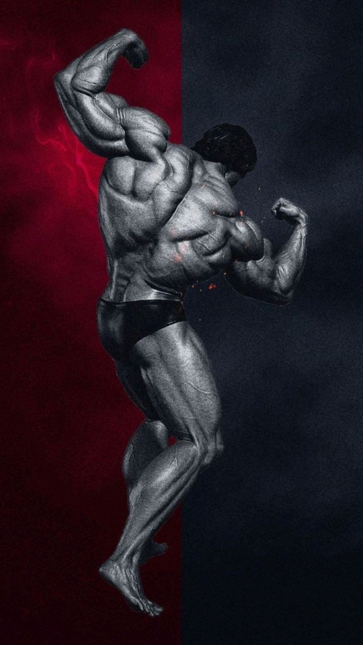 735x1307 Arnold Schwarzenegger iPhone Wallpaper