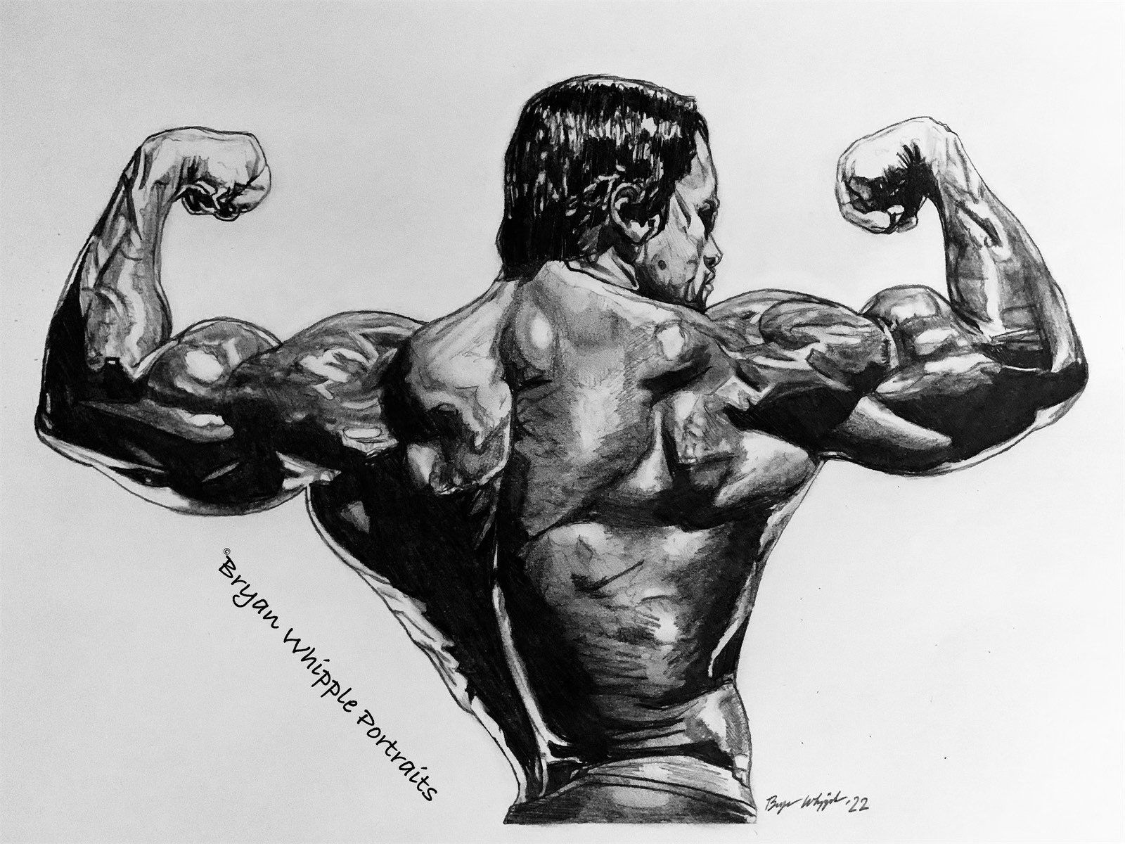 1600x1200 Arnold Schwarzenegger Muscles Flex original sketch limited edition signed numbered Gicleé art prints