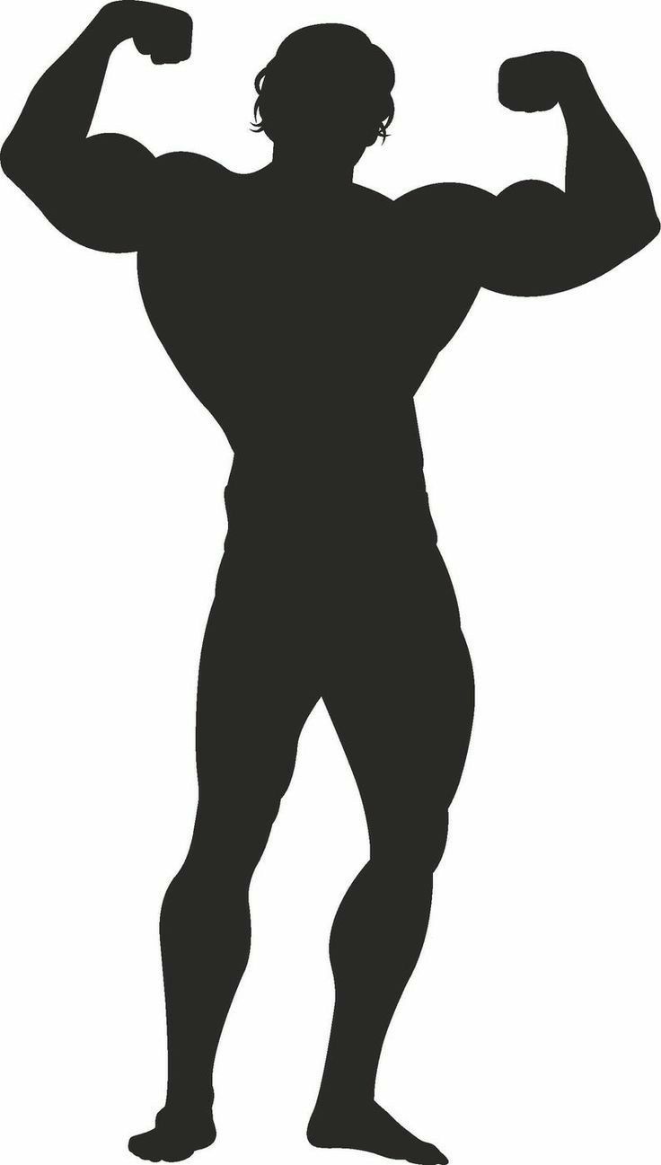 736x1297 Arnold Schwarzenegger Wallpaper- #Wallpaper #Bodybuilding #arnold #figure #Fitness #Fitnesswallpaper